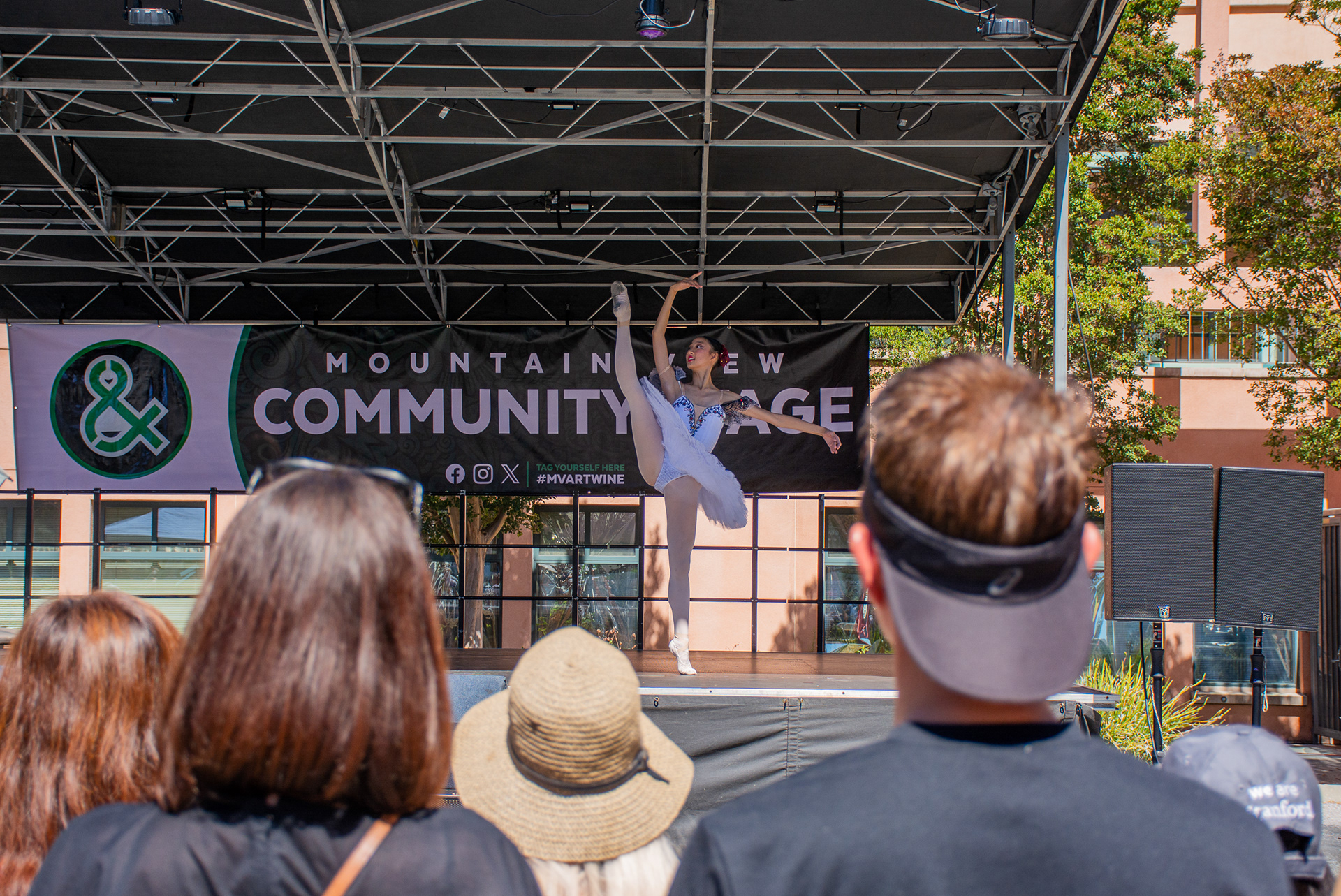 Mountain View Art & Wine Festival 2024