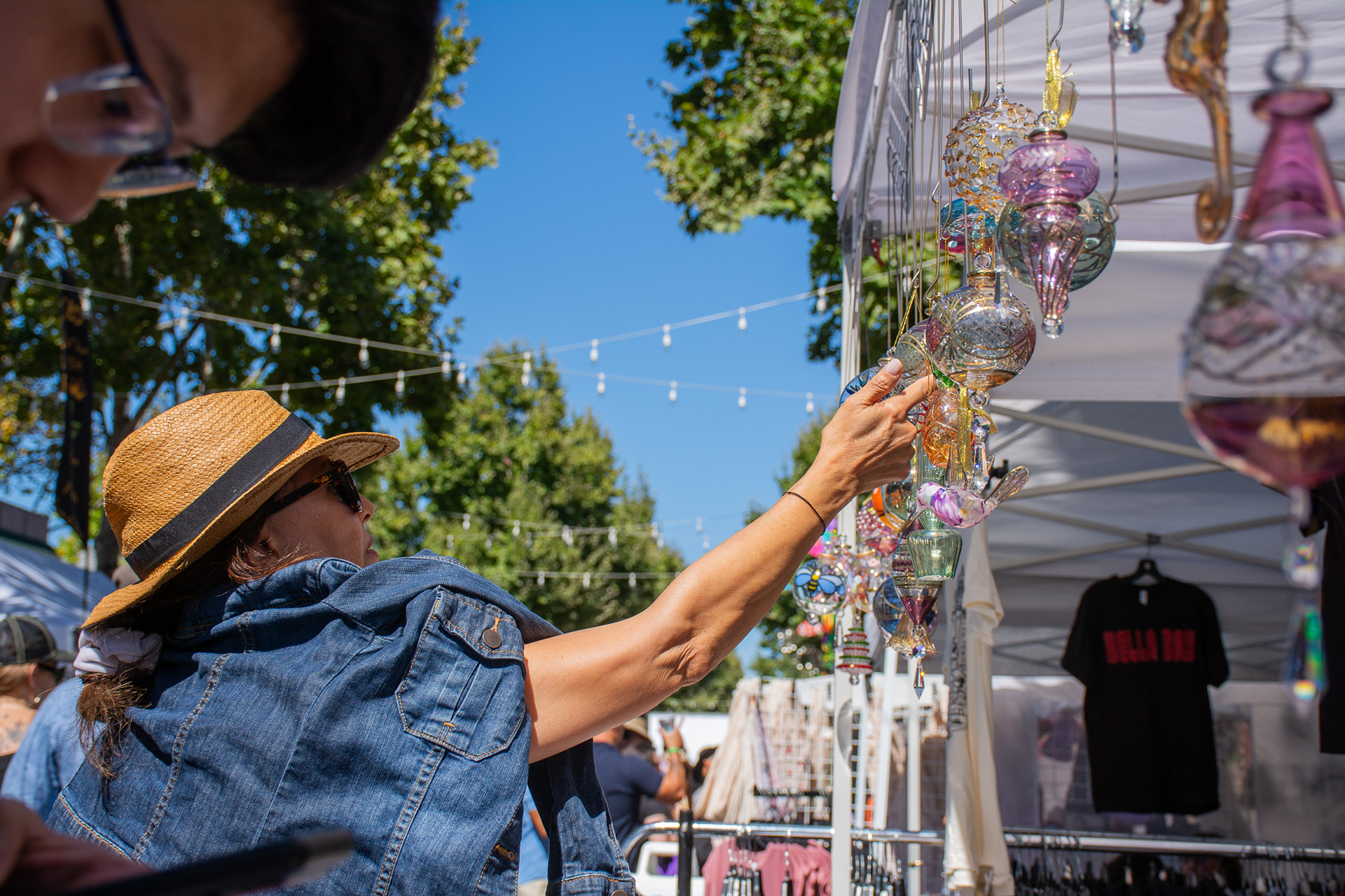 Mountain View Art & Wine Festival 2024