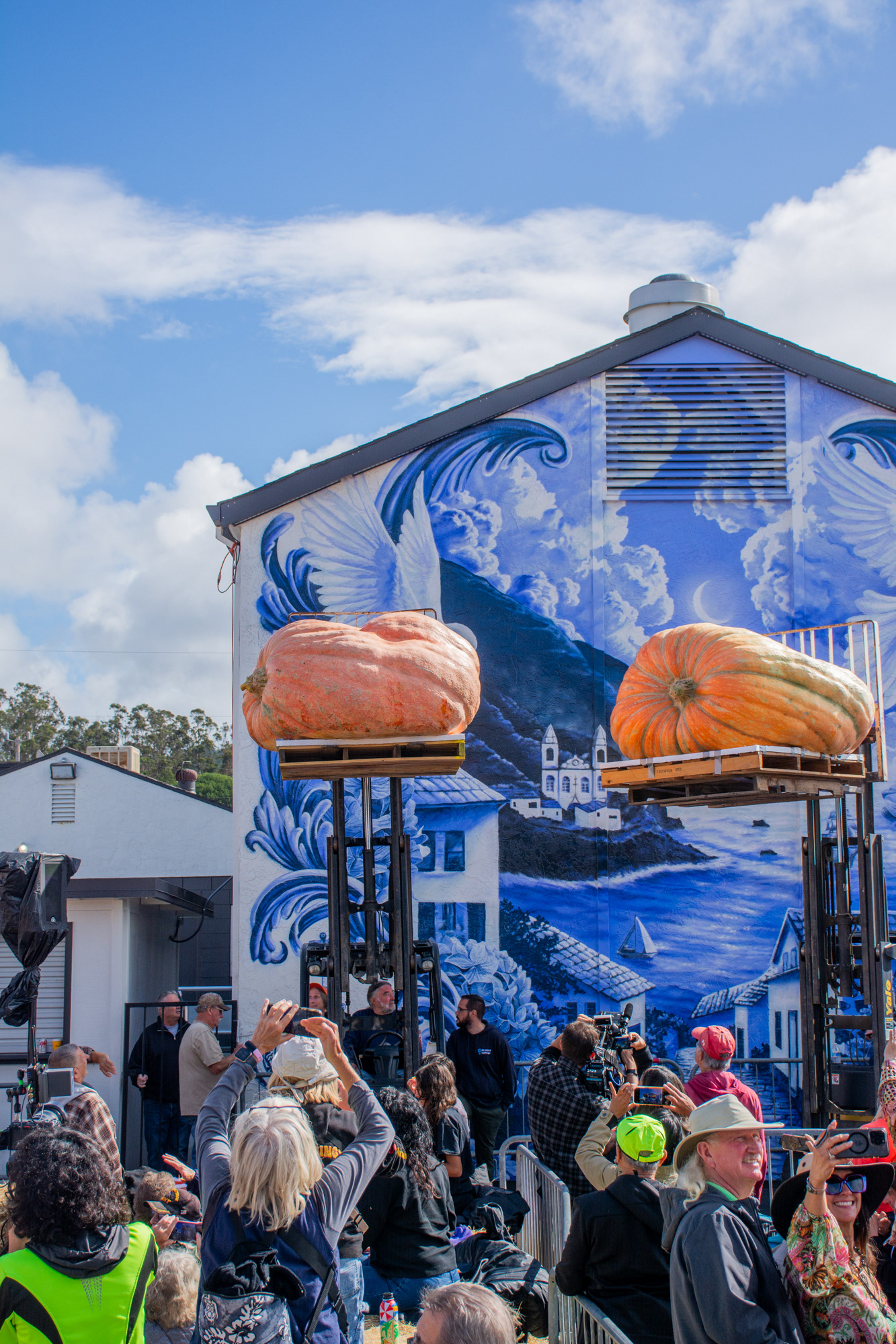 HMB Pumpkin Weigh Off 2025, "prettiest pumpkin" contest.