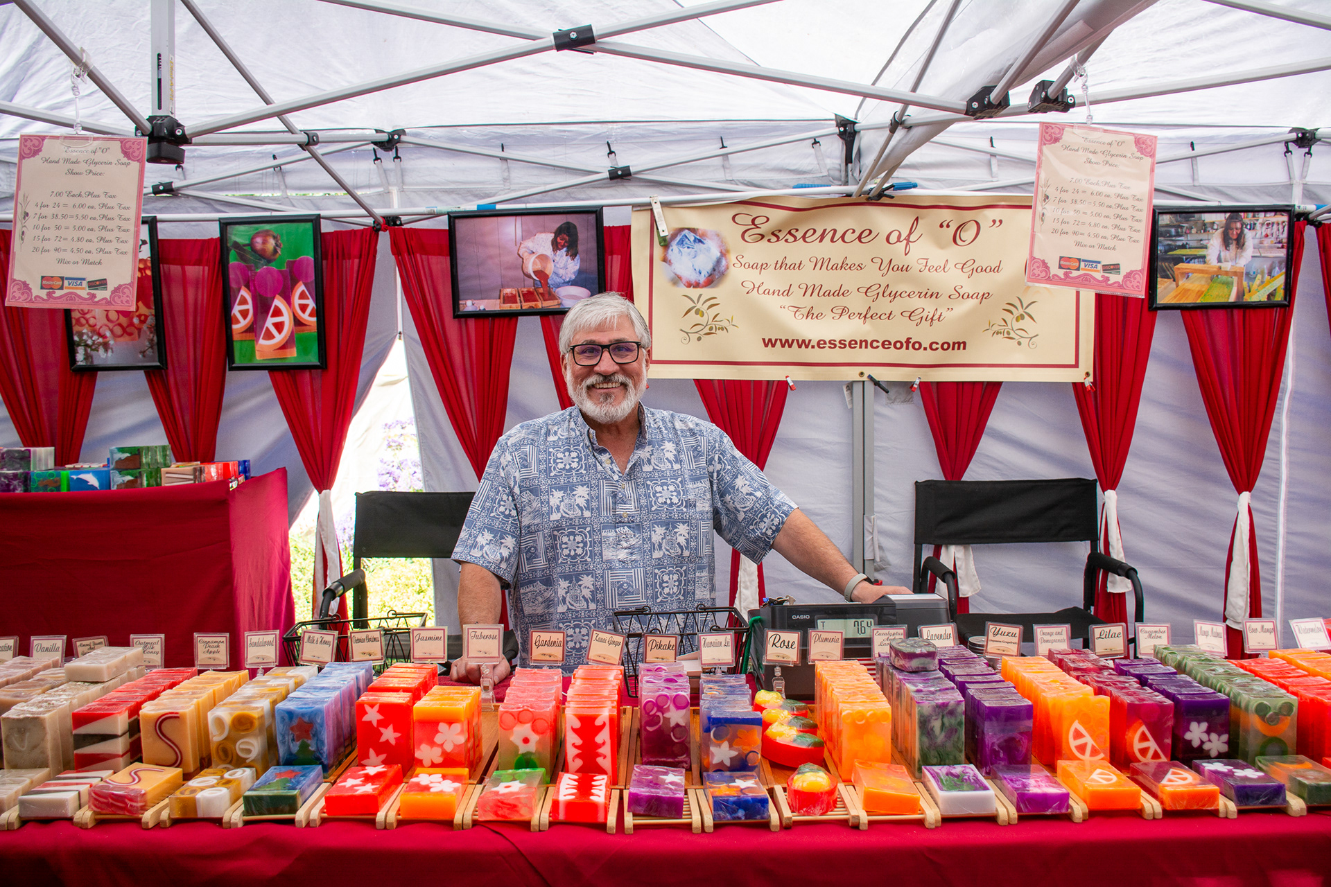 Mountain View Art & Wine Festival 2024