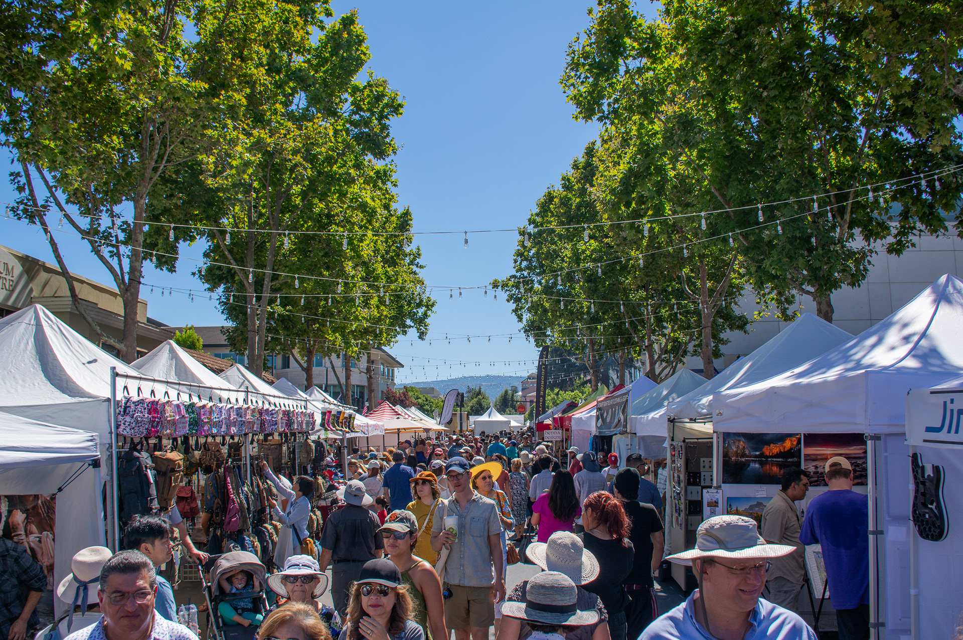 Mountain View Art & Wine Festival 2024