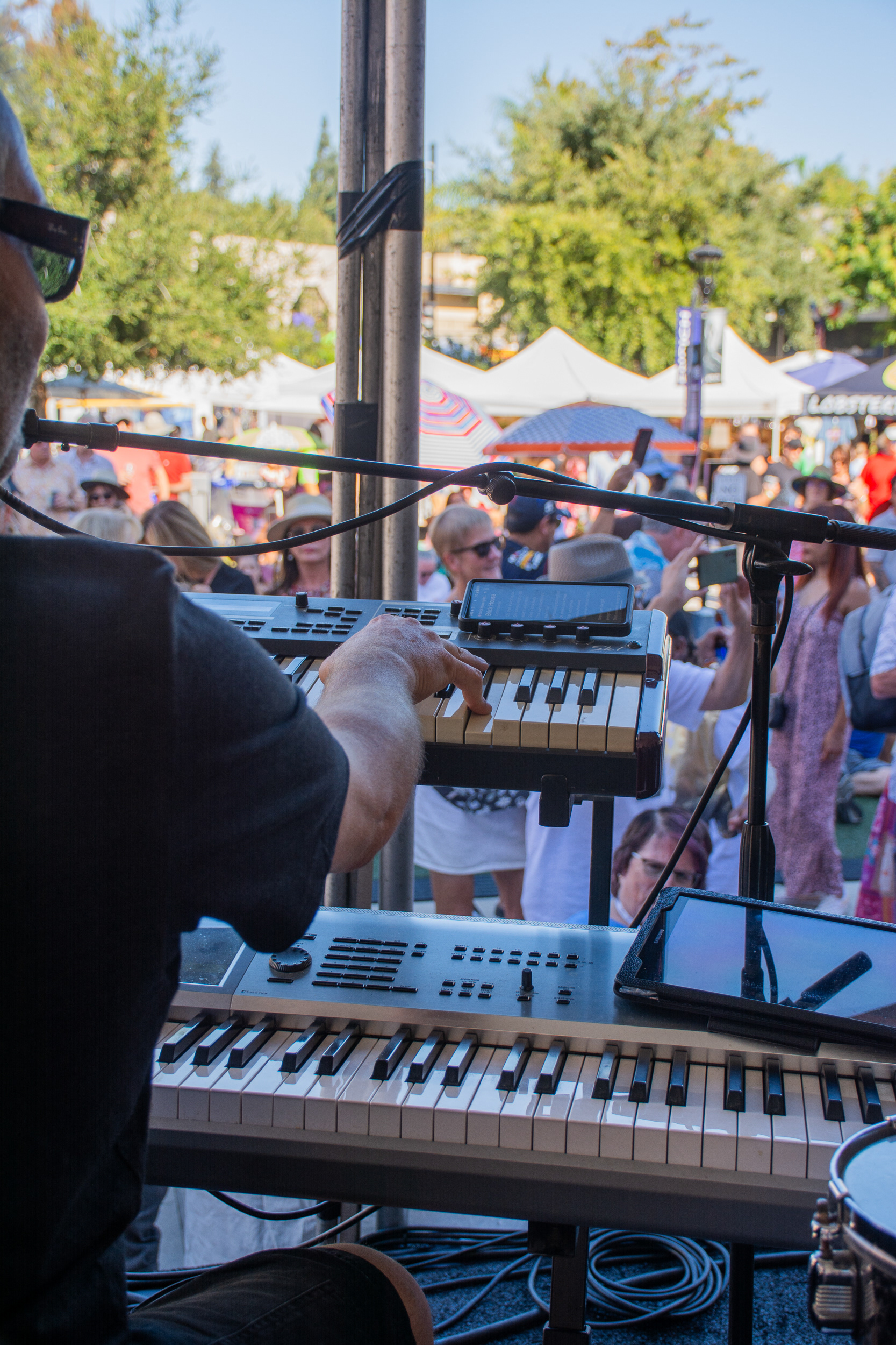 Mountain View Art & Wine Festival 2024