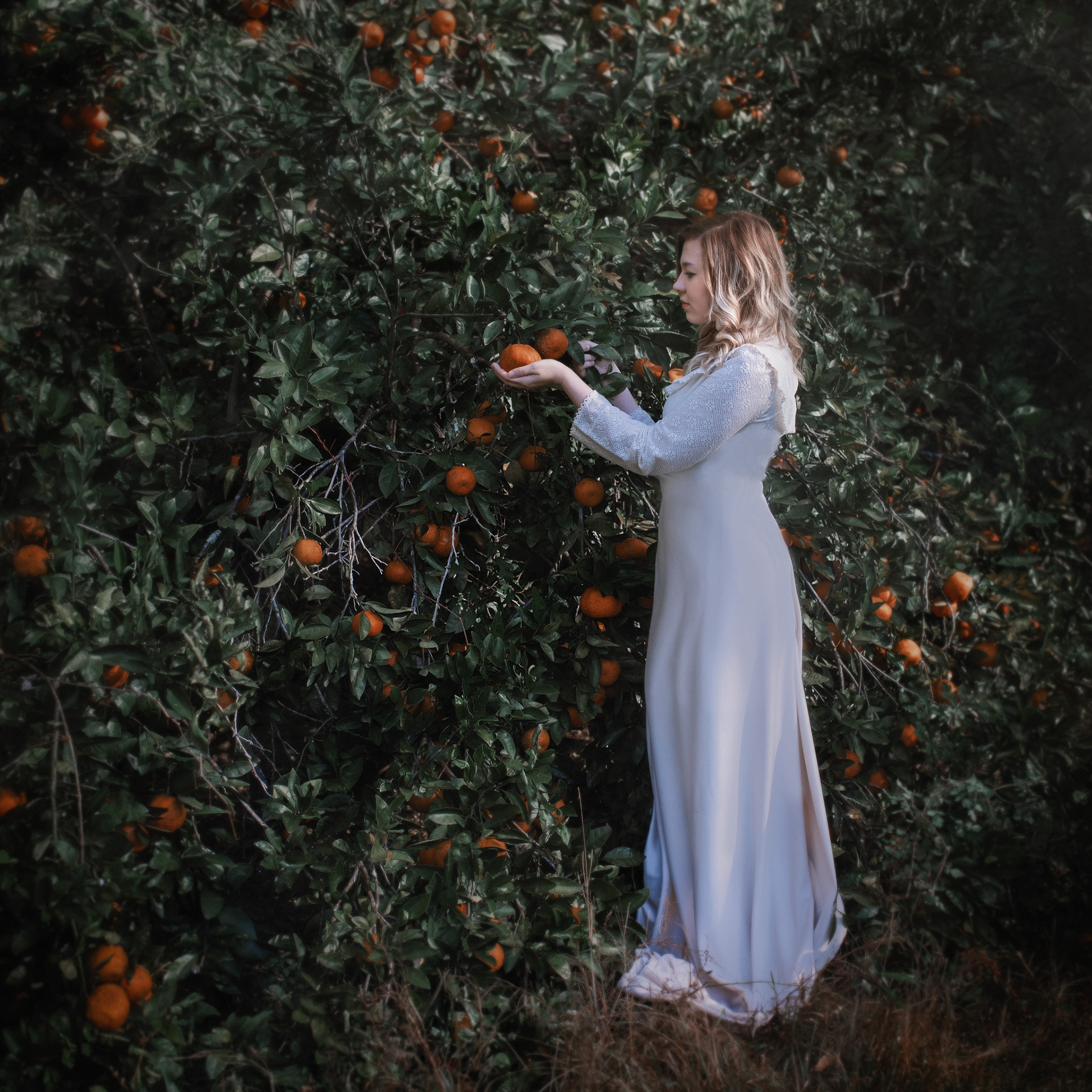 Seeking Fruit