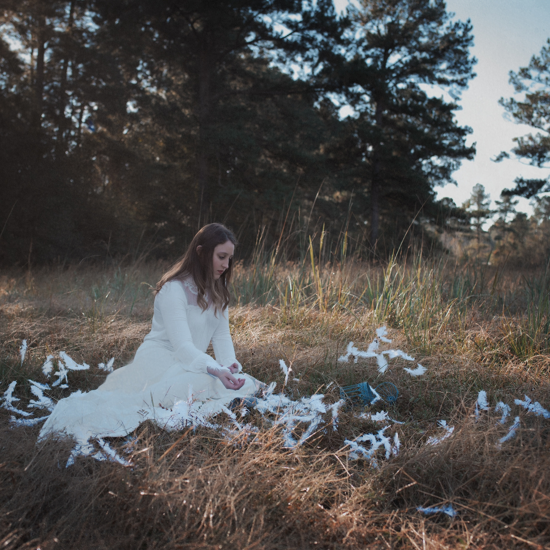 Seeking Renewal