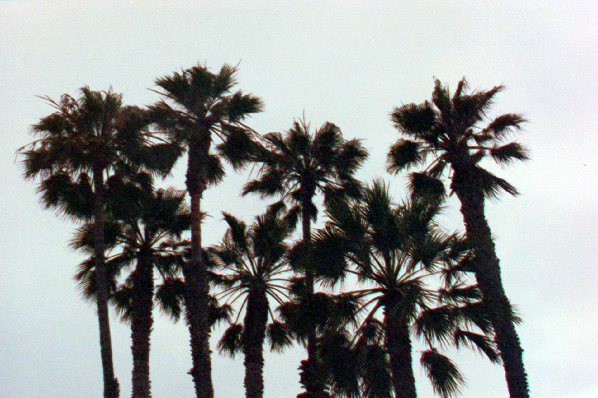 California, US