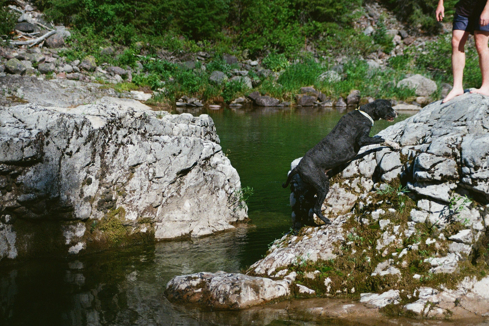 Montana, US