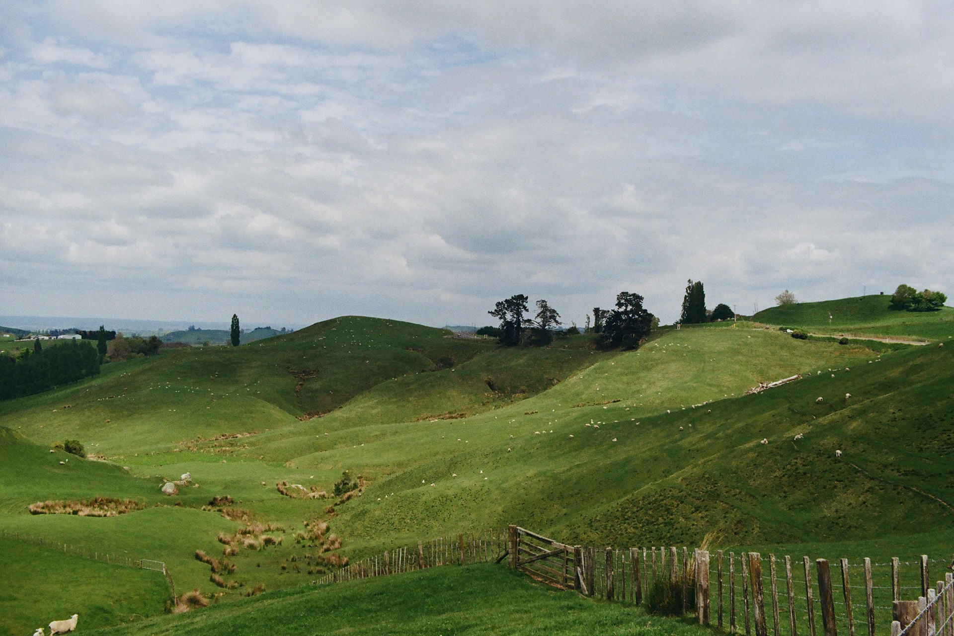 North Island, New Zealand