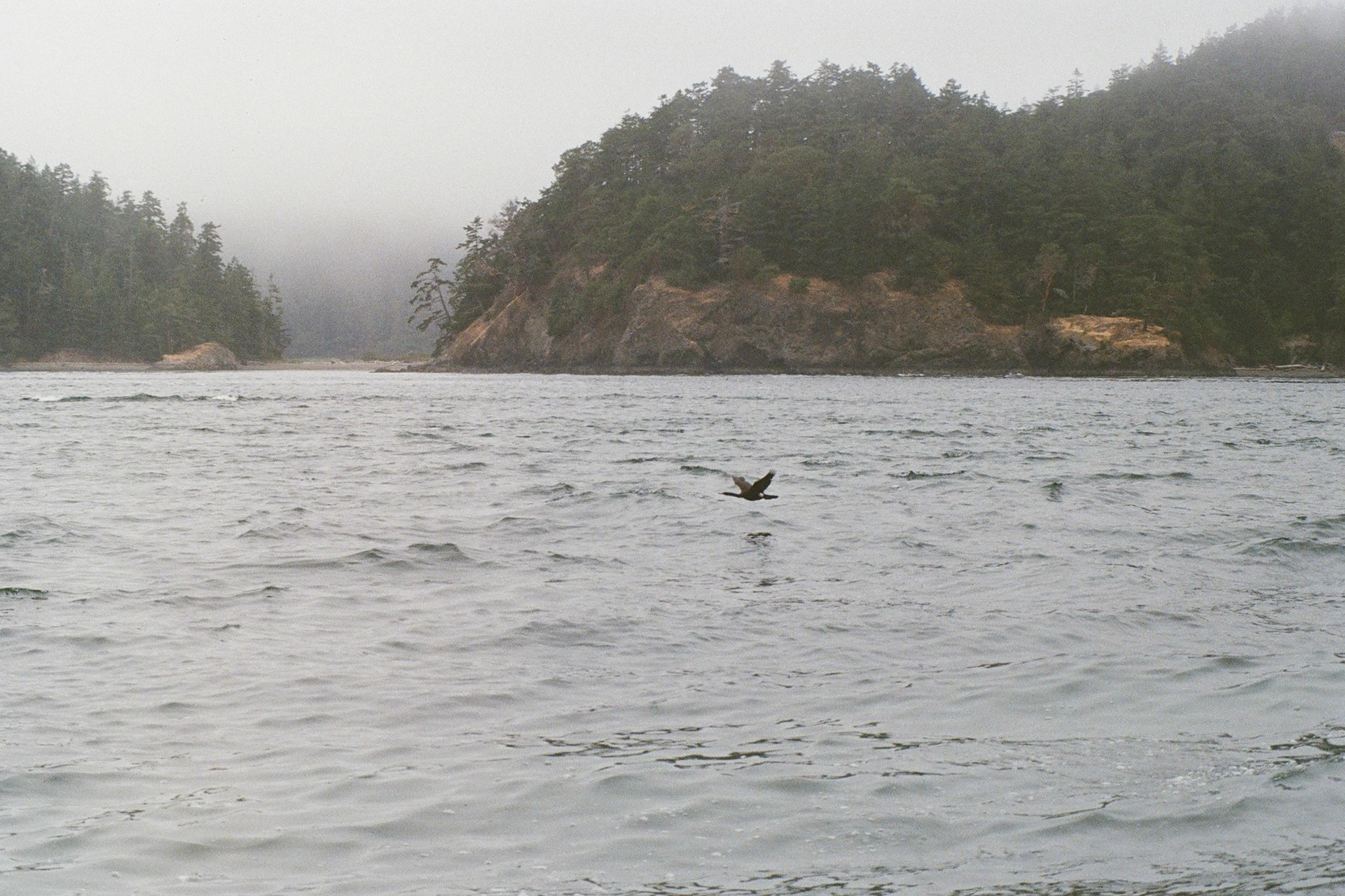 Washington, US