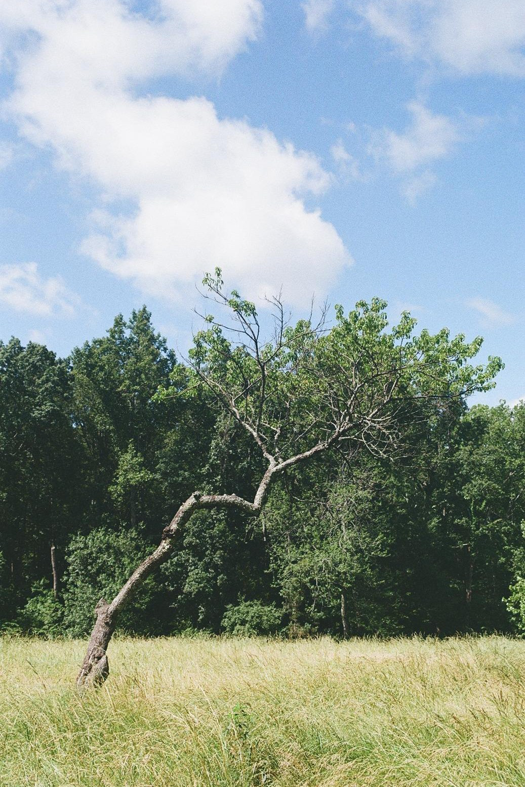 Charlottesville, Virginia
