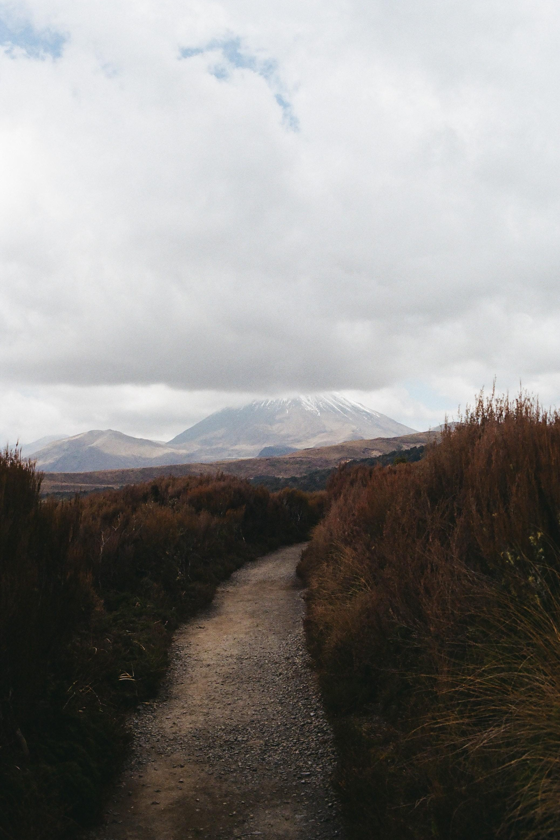 North Island, New Zealand