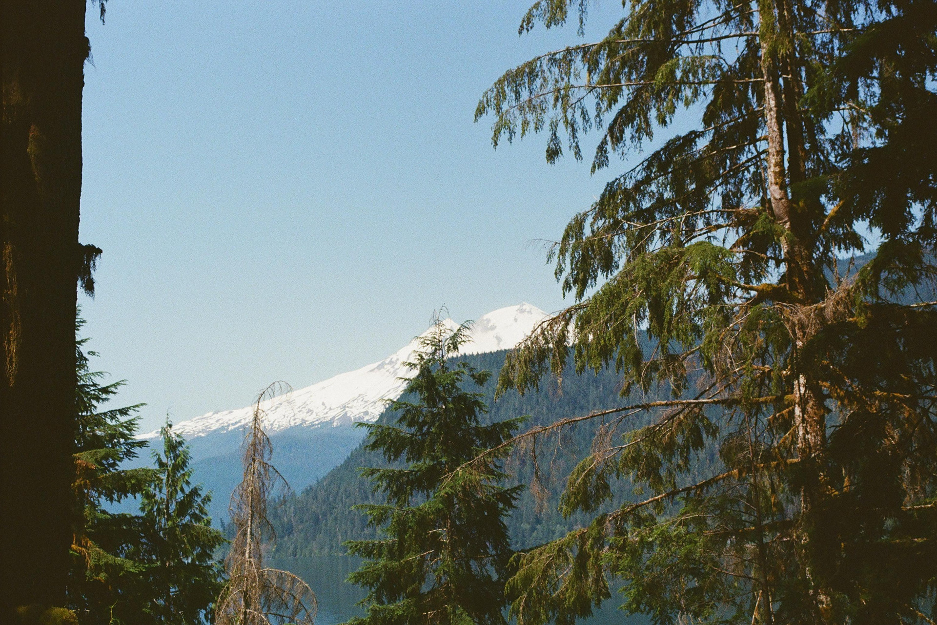 Washington, US