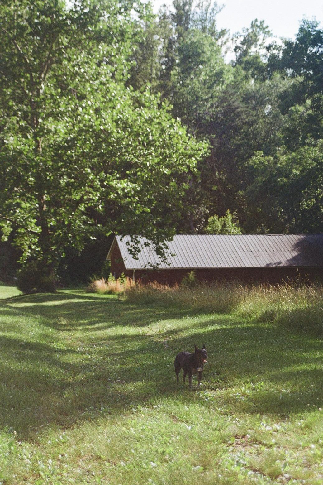 Charlottesville, Virginia