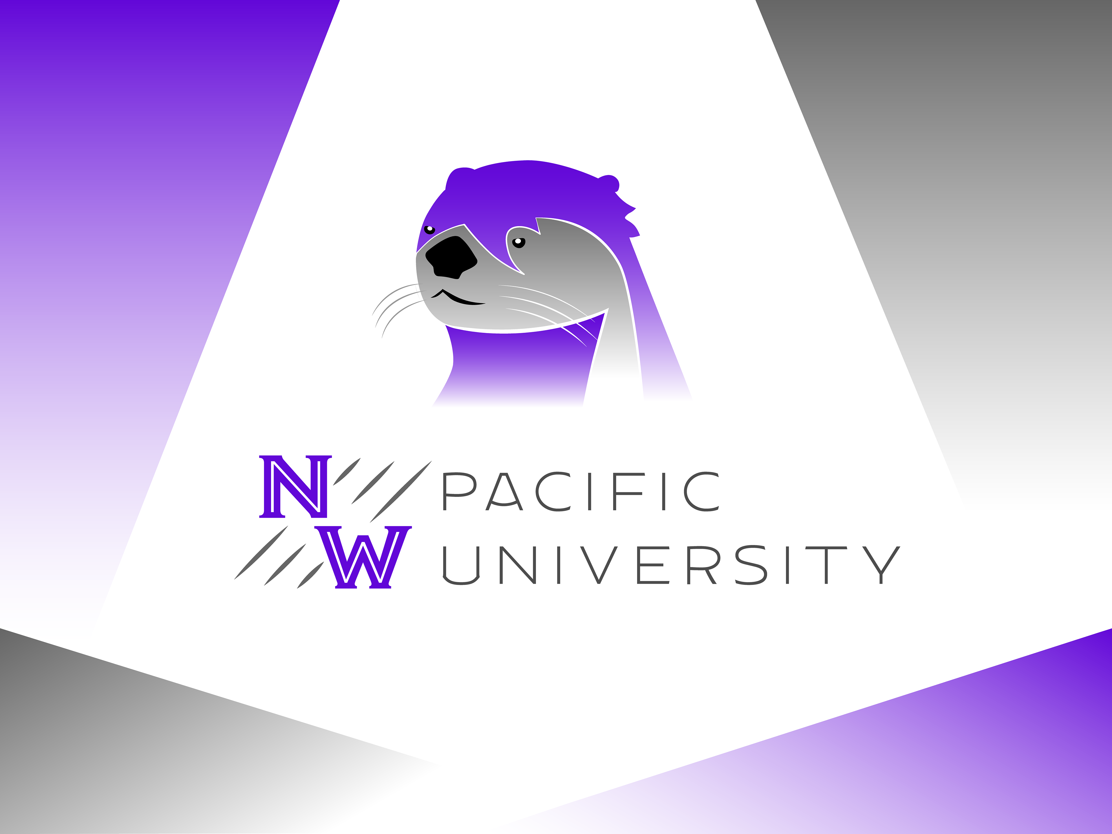 2019 production design contribution for Win a Trip to Browntown (2022)! 