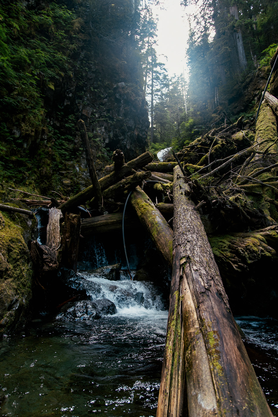Mt. Ranier National Park, 2019