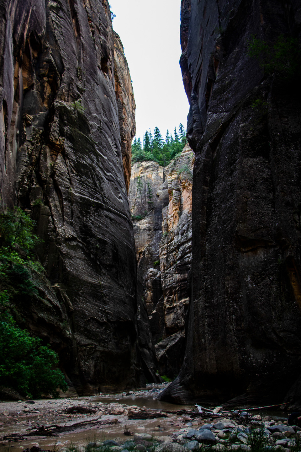 Zion National Park, 2018