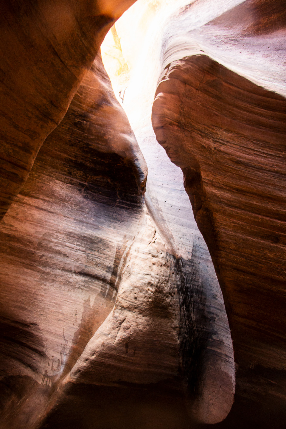 Zion National Park, 2018