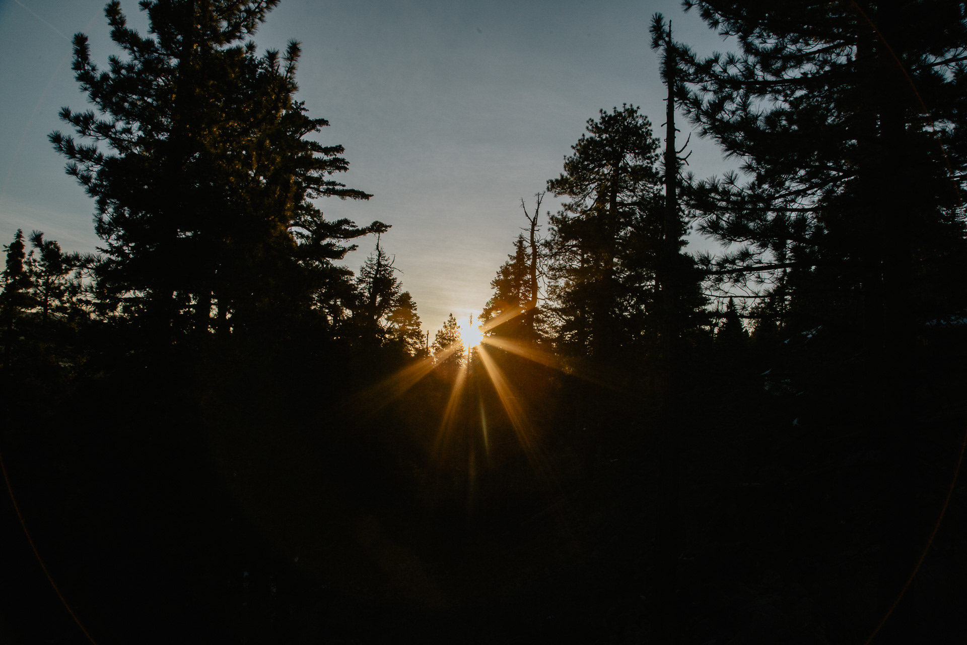 San Bernardino Mountains, 2021