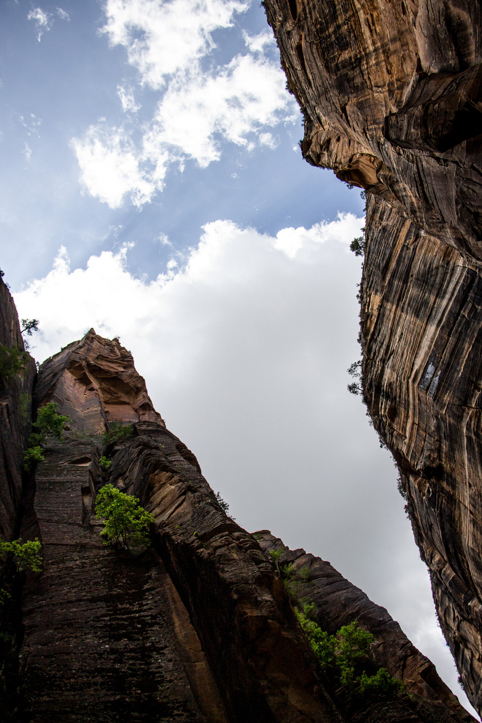 Zion National Park, 2018