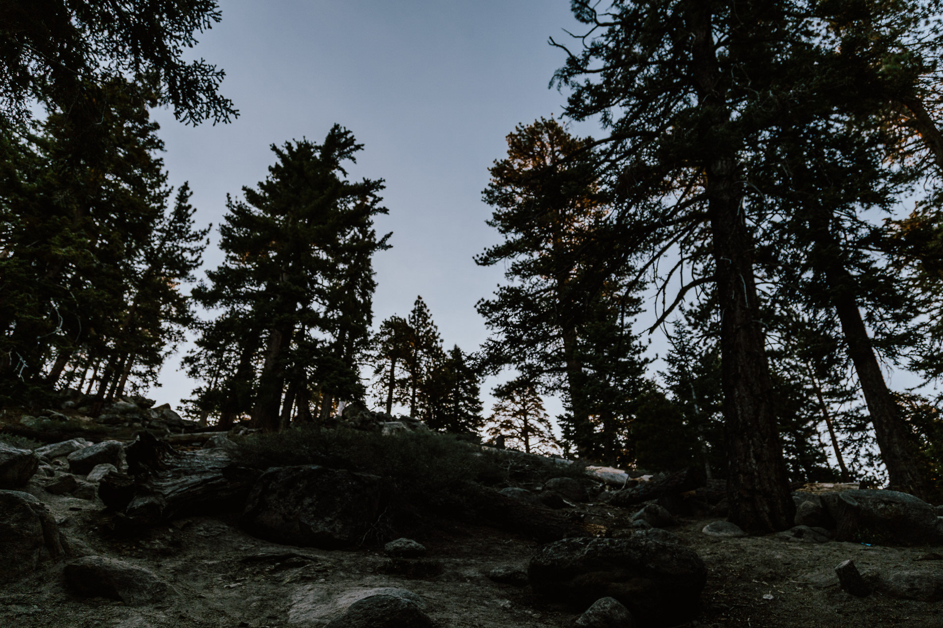 San Bernardino Mountains, 2021