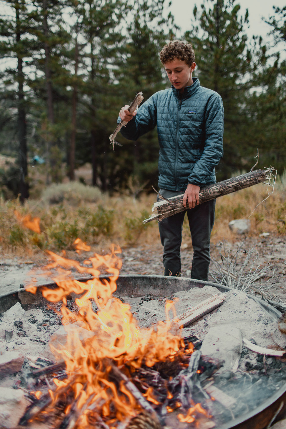 Angeles National Forest, 2019