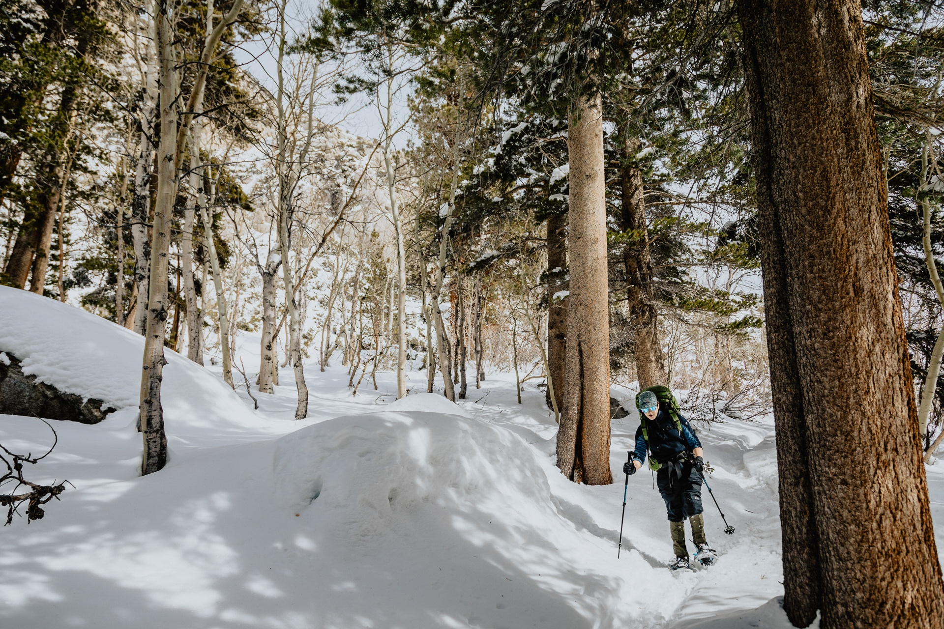 Inyo National Forest, 2024