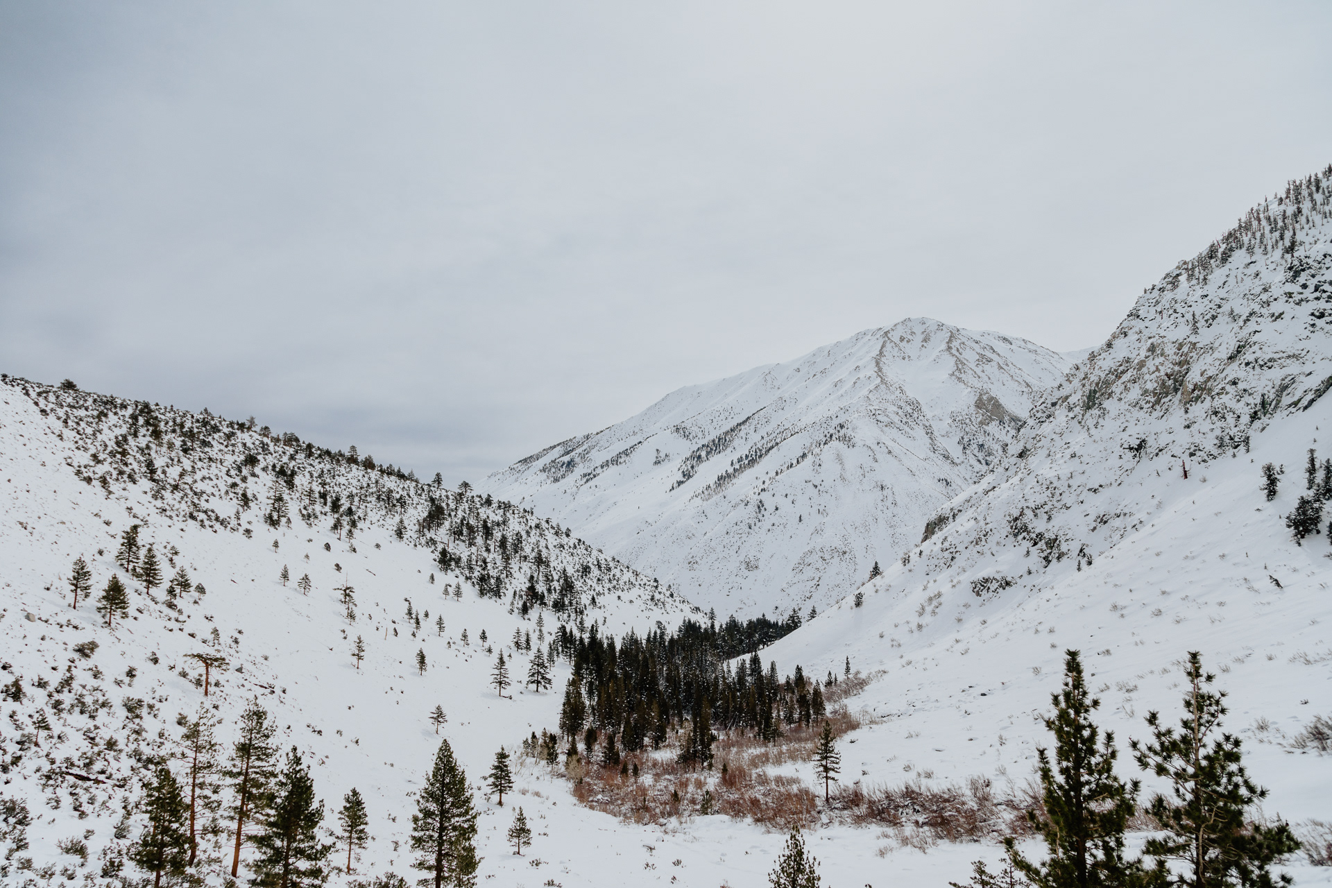 Inyo National Forest, 2024