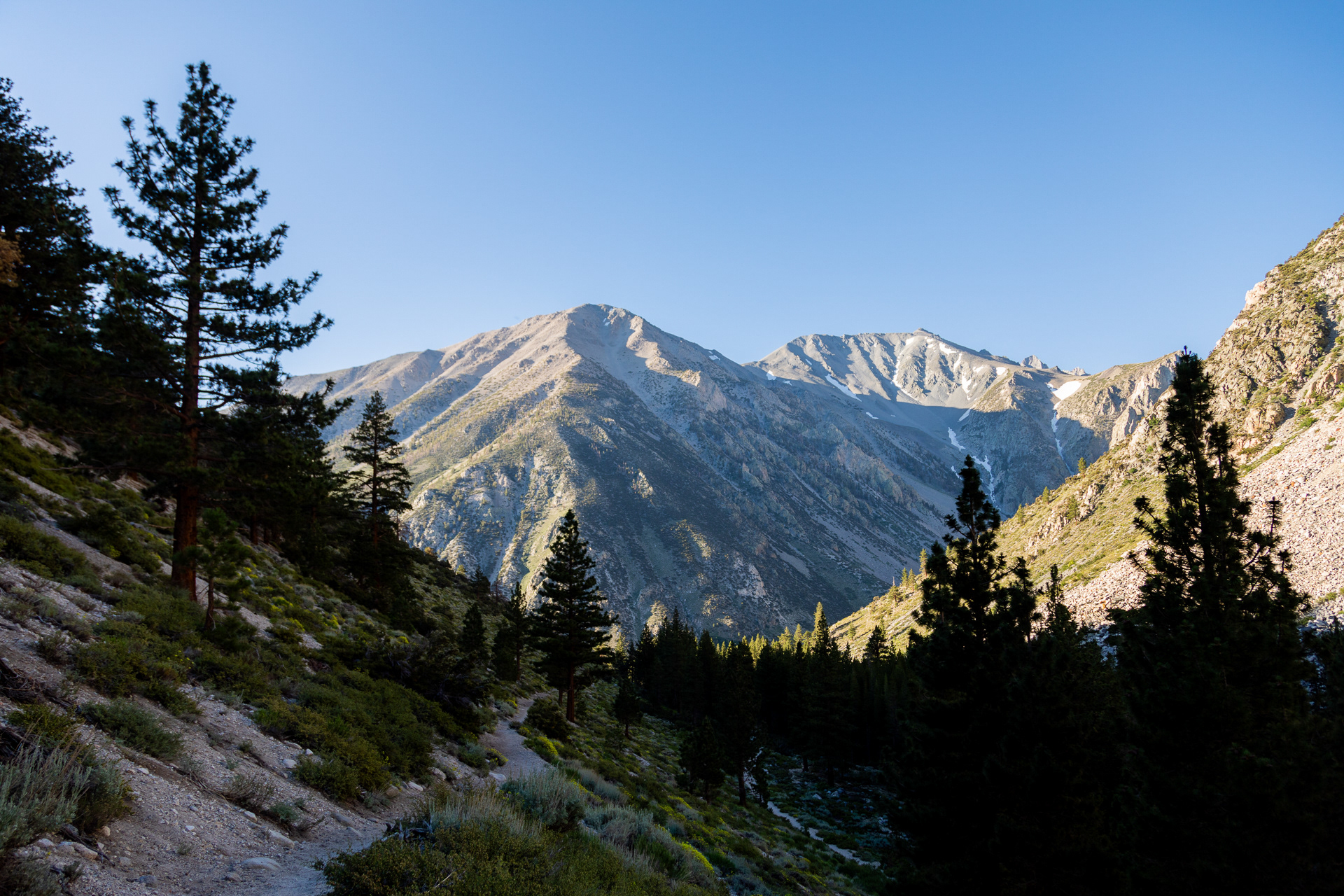 Inyo National Forest, 2024