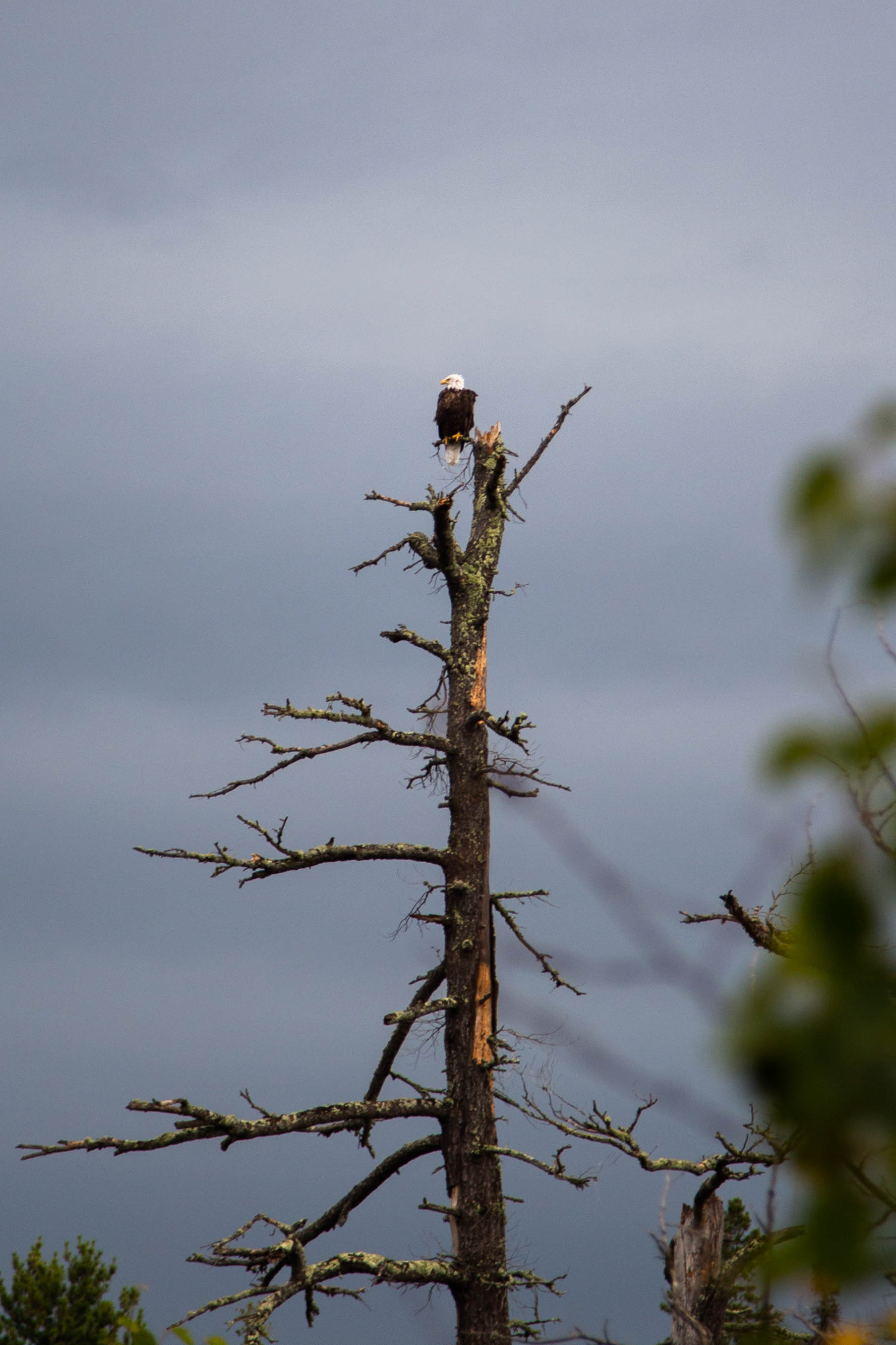 Boundary Waters, 2022