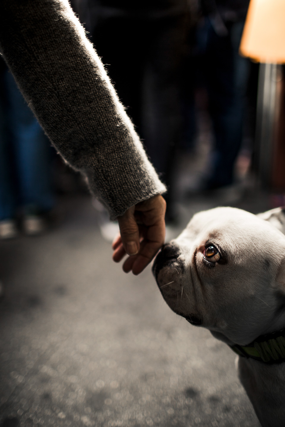 March For Our Lives, 2018