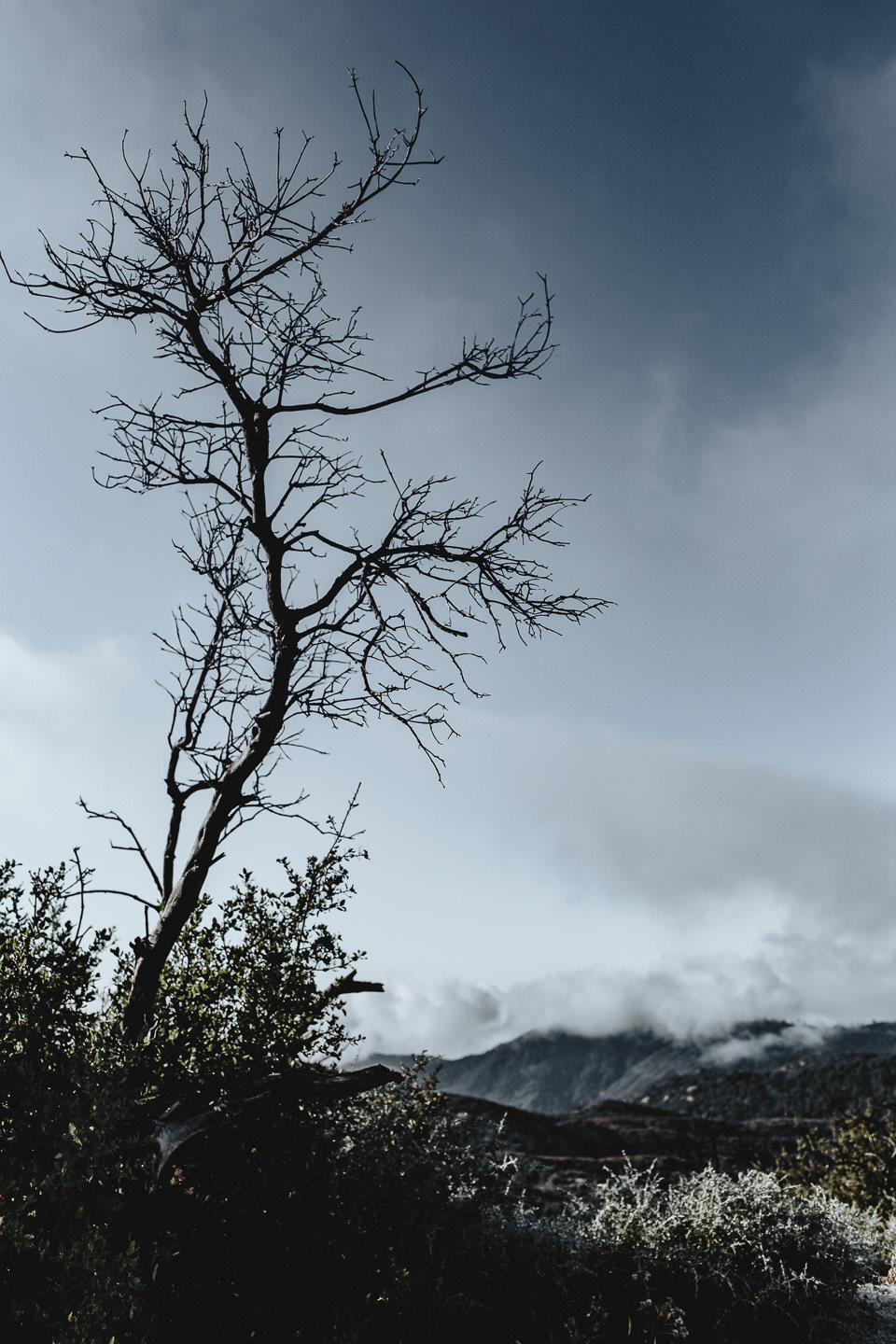 Angeles National Forest, 2019