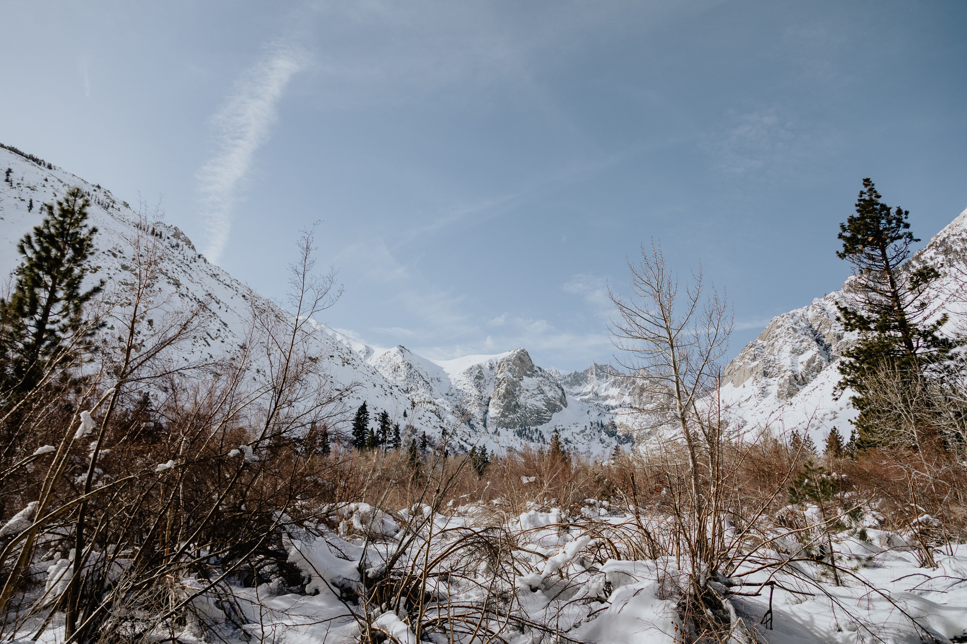 Inyo National Forest, 2024