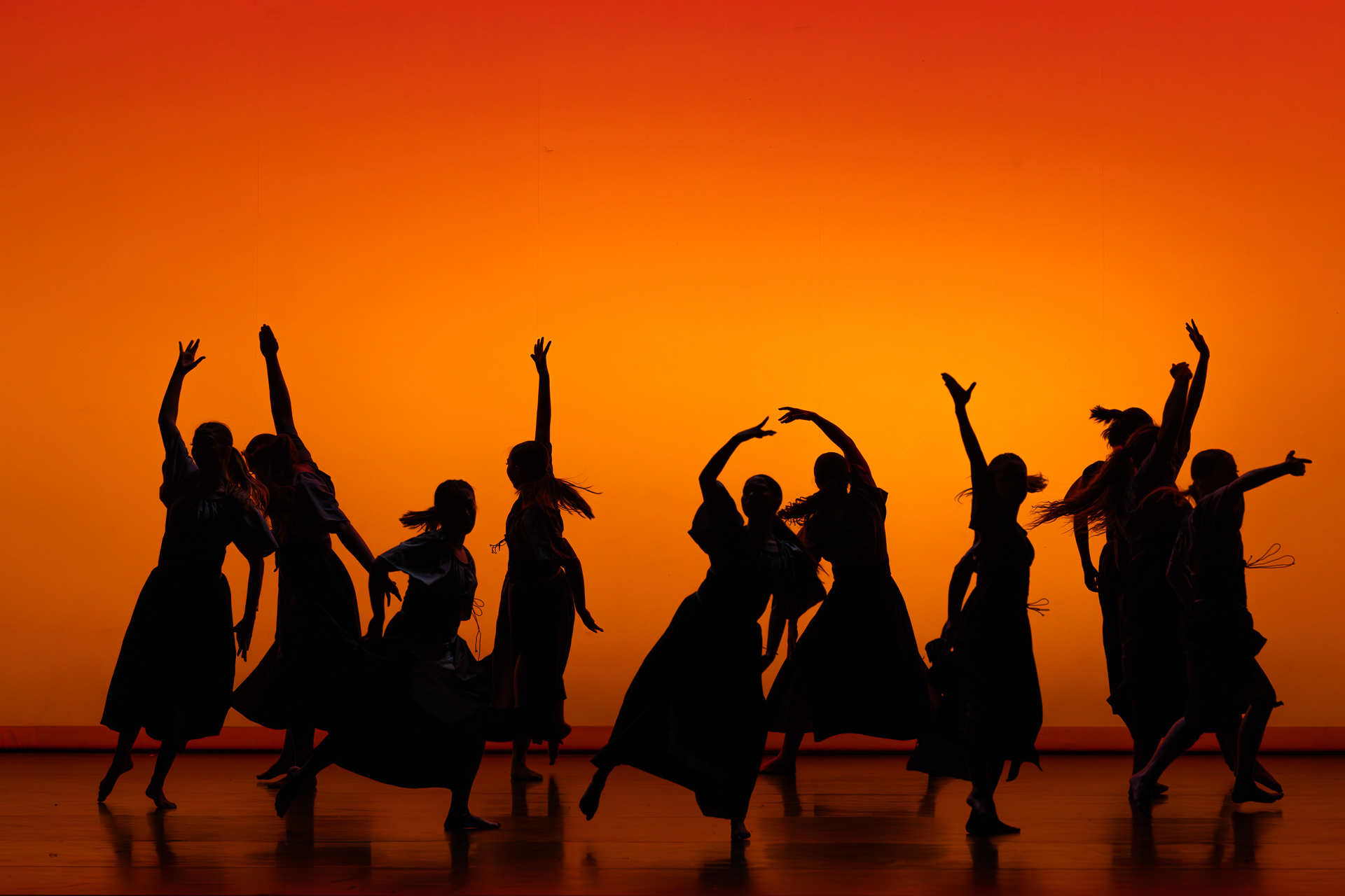 Icarus Contemporary, UCLA, 2024