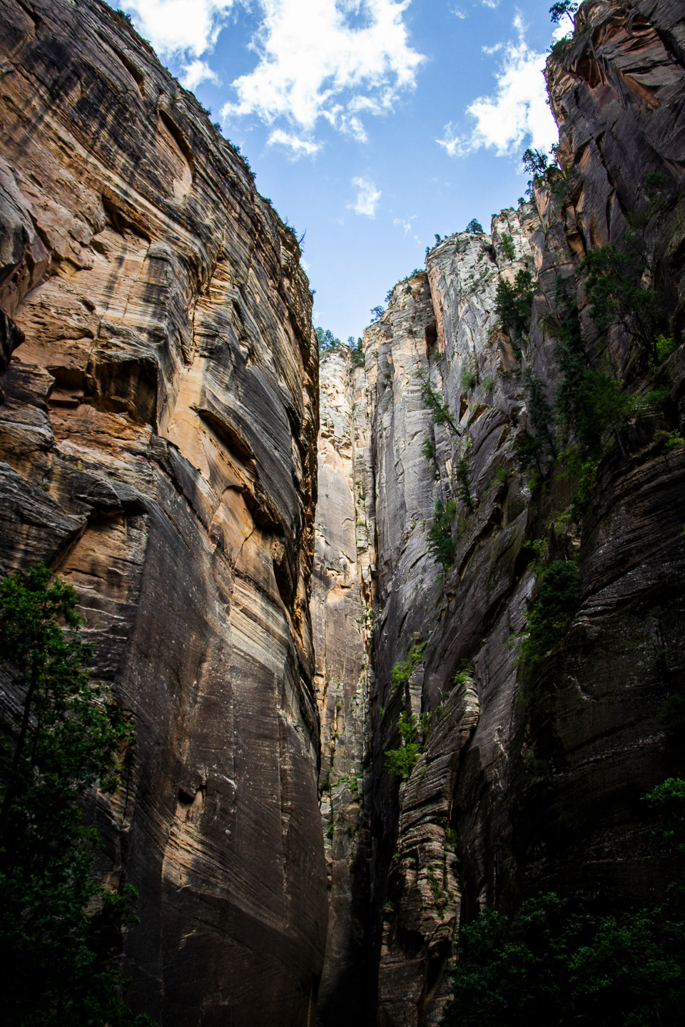 Zion National Park, 2018