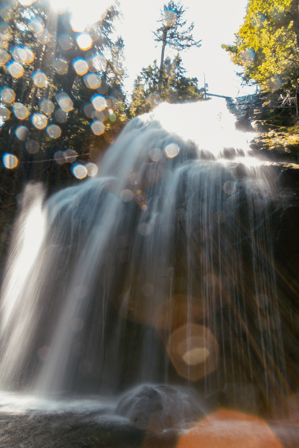 Mt. Ranier National Park, 2019