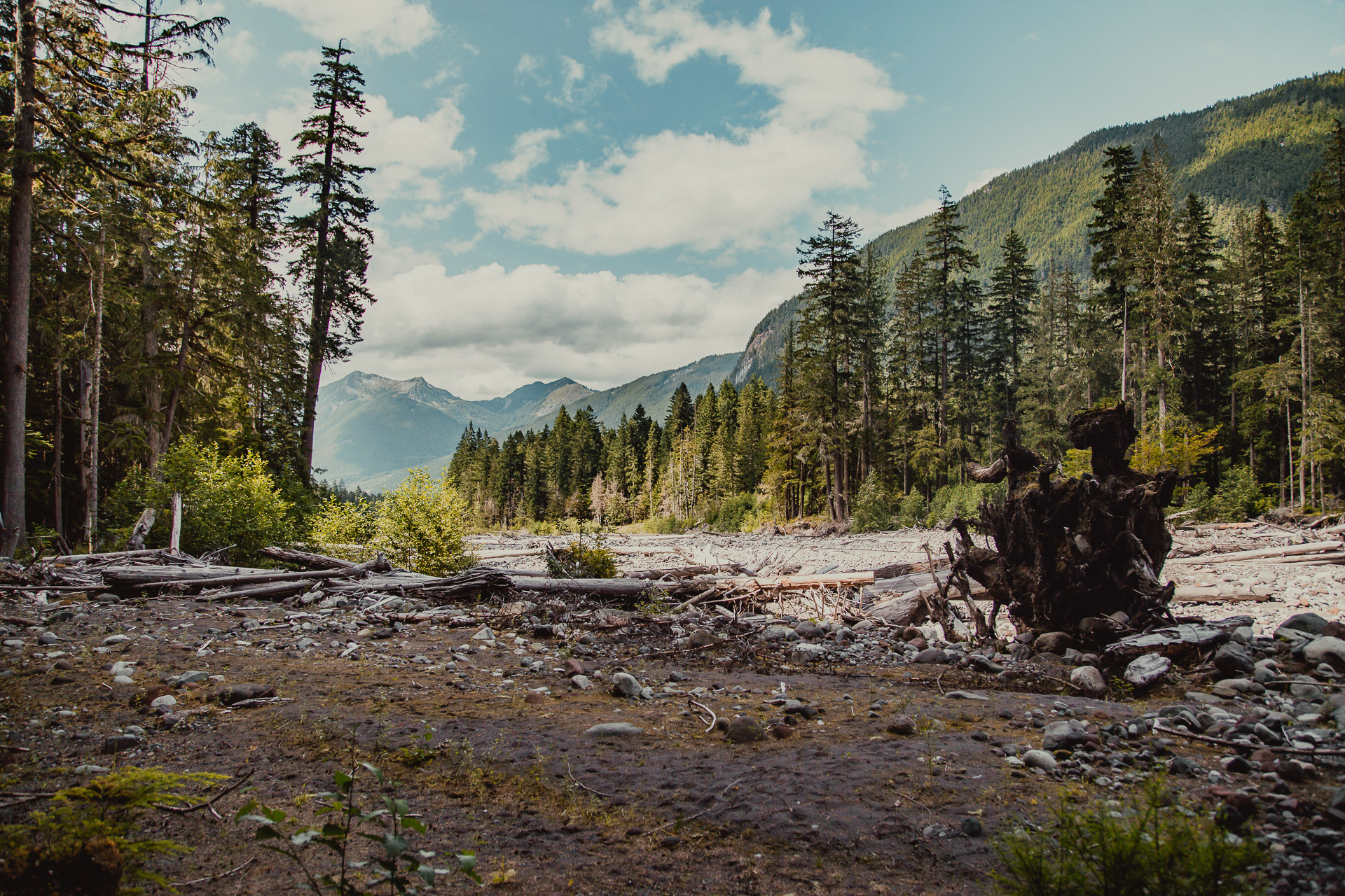 Mt. Ranier National Park, 2019