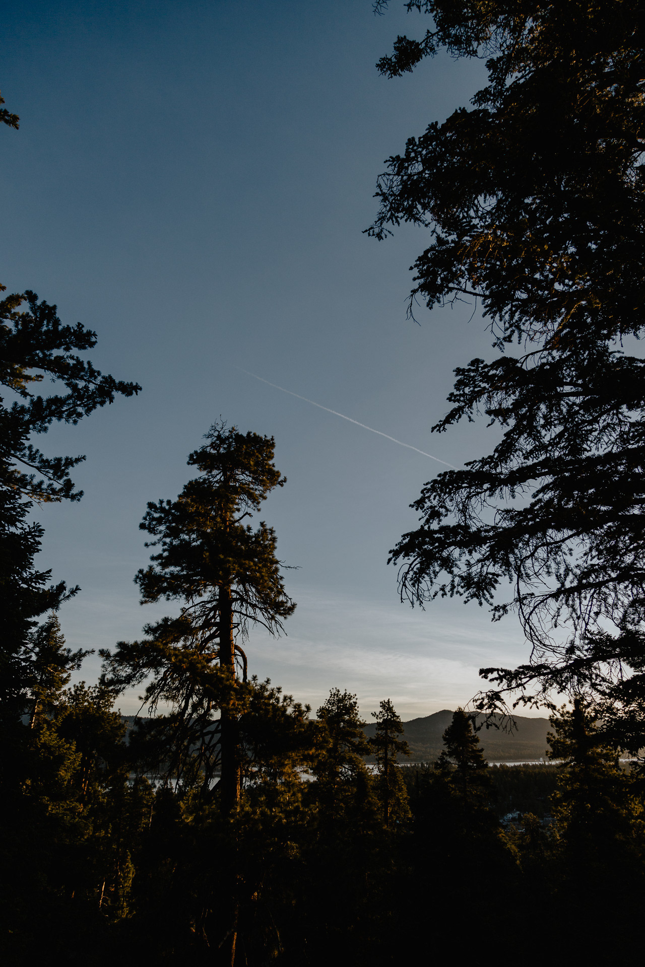 San Bernardino Mountains, 2021