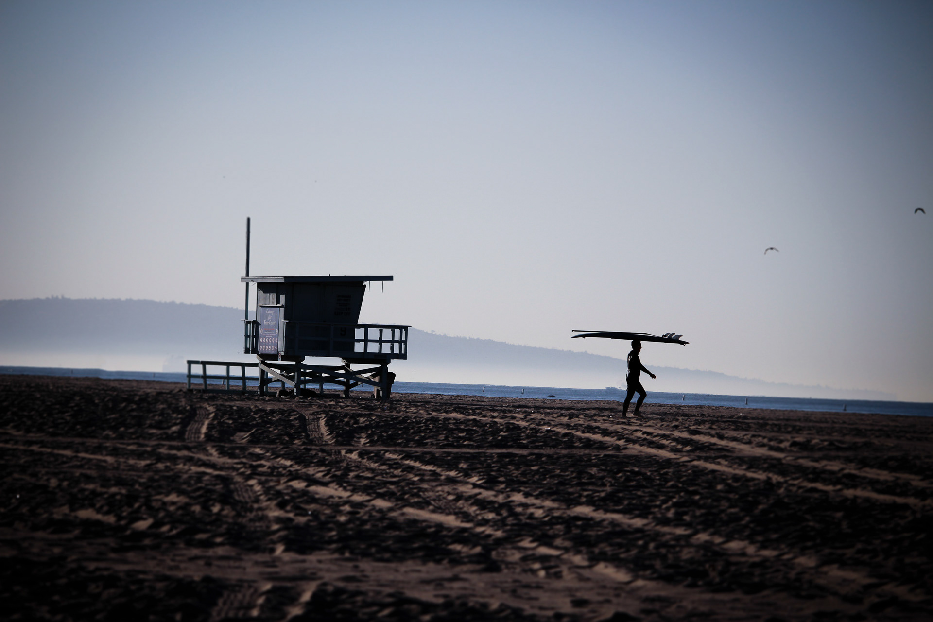 Santa Monica State Beach, 2017