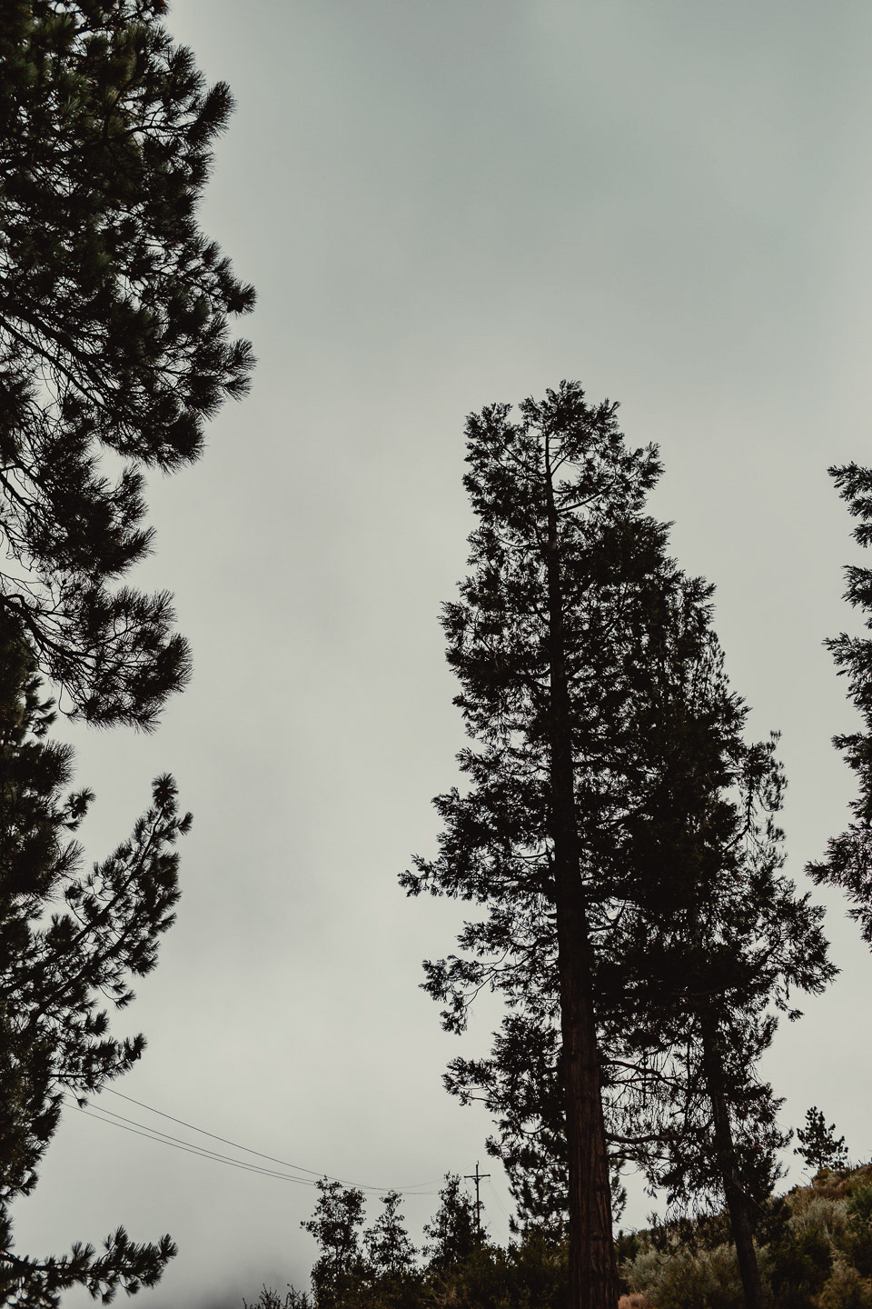 Angeles National Forest, 2019