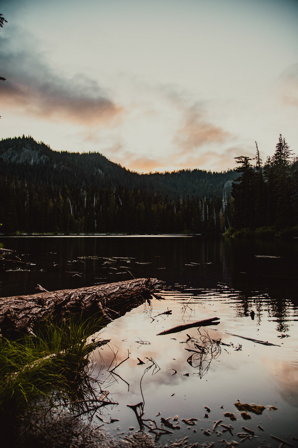 Mt. Ranier National Park, 2019