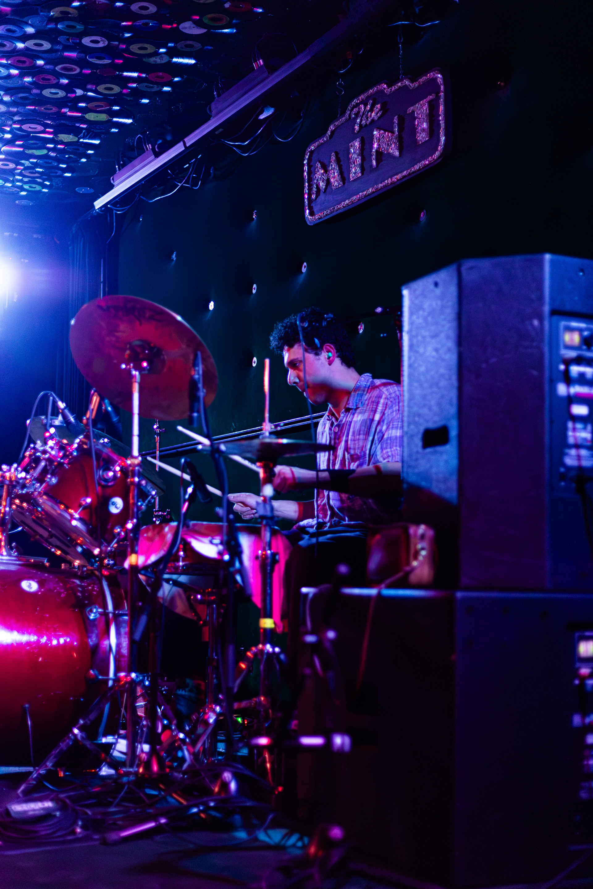 The Trees, The Mint, 2024