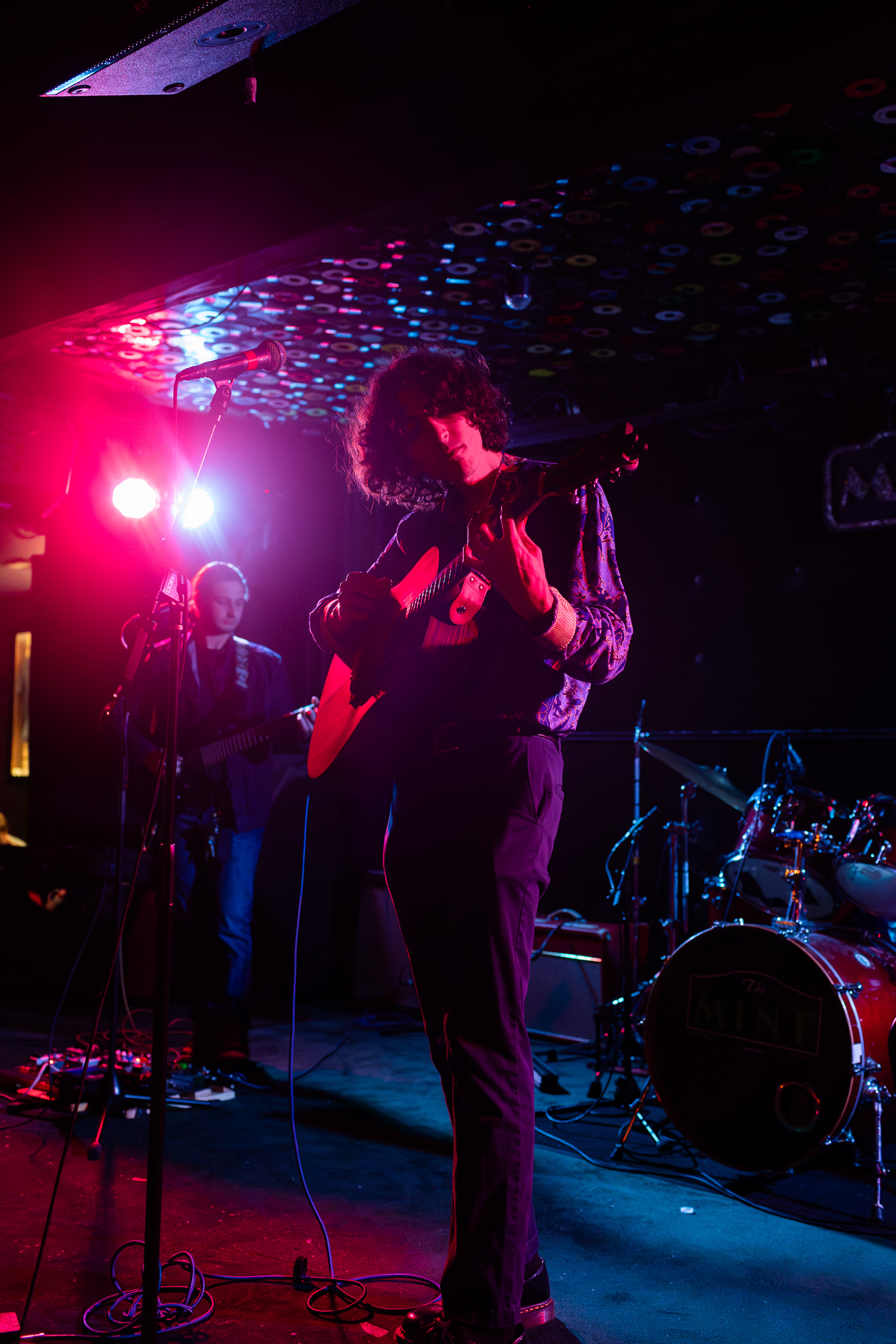 The Trees, The Mint, 2024