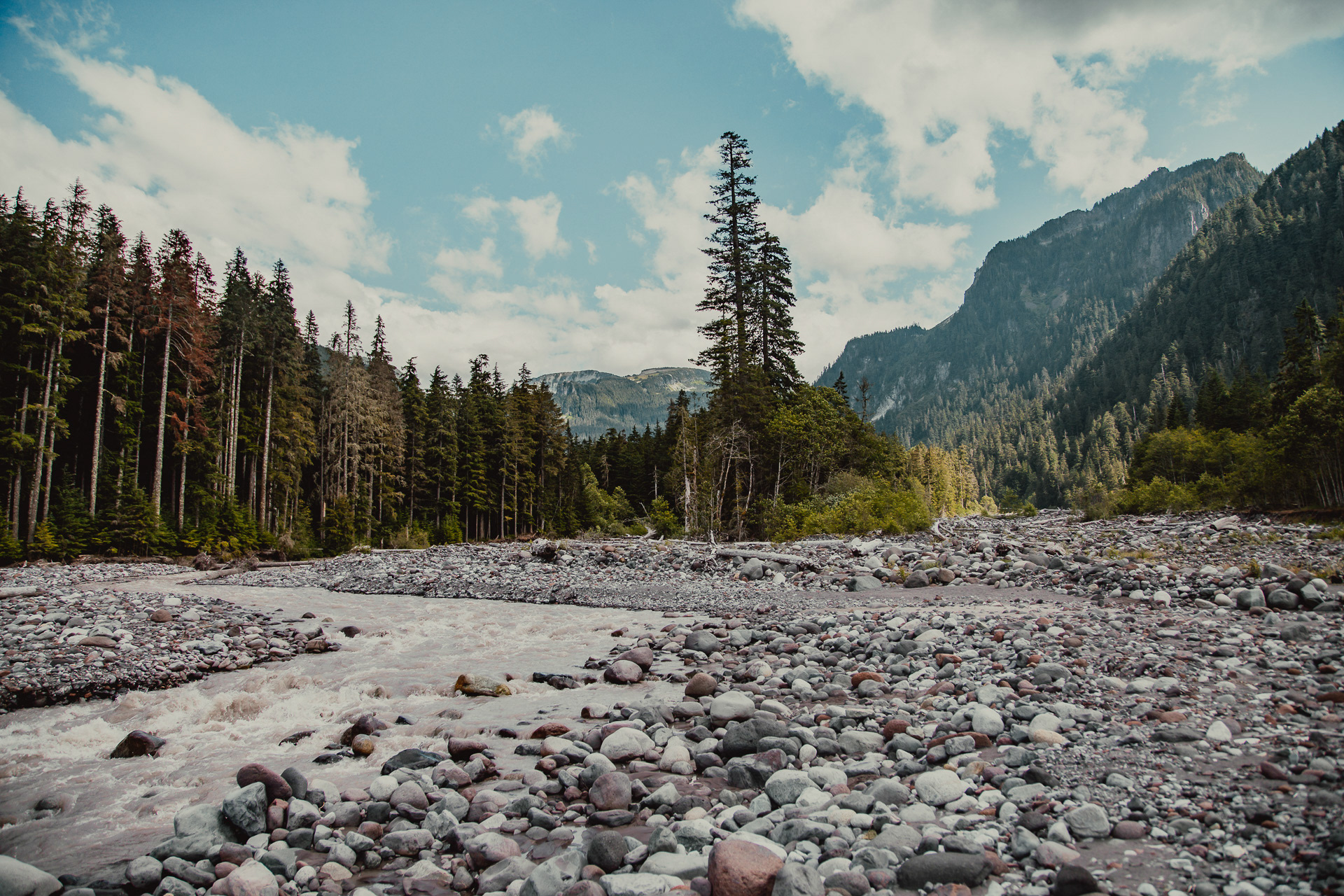 Mt. Ranier National Park, 2019