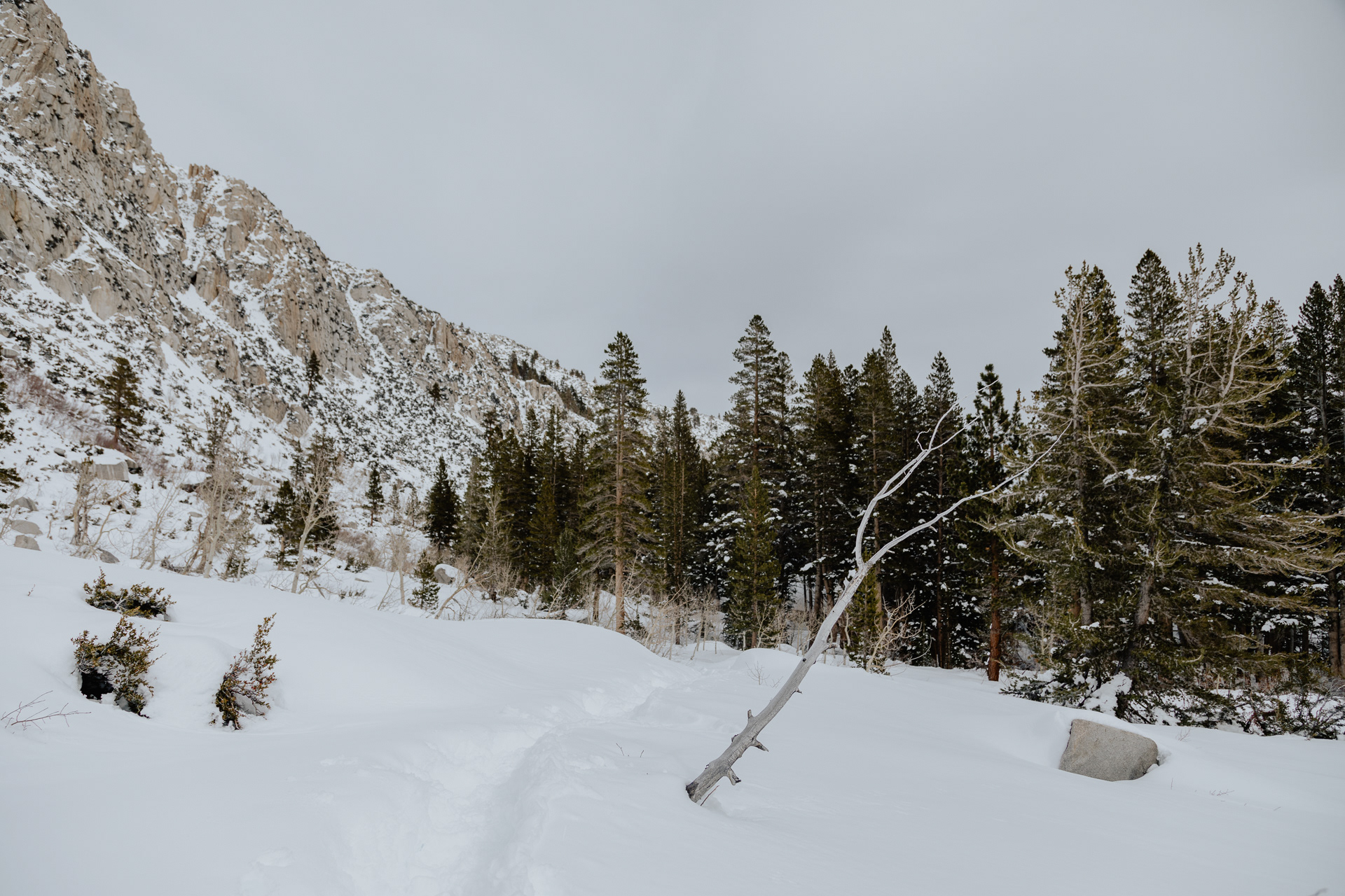 Inyo National Forest, 2024