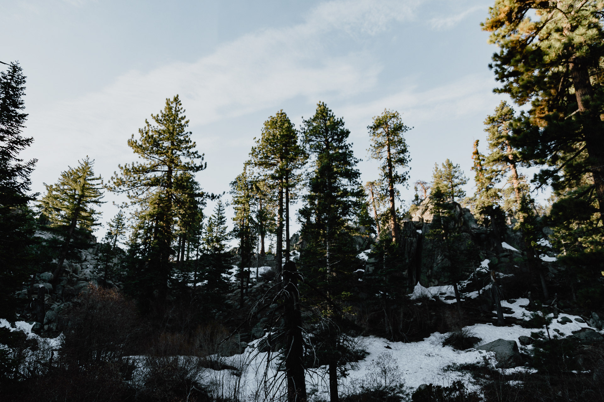 San Bernardino Mountains, 2021