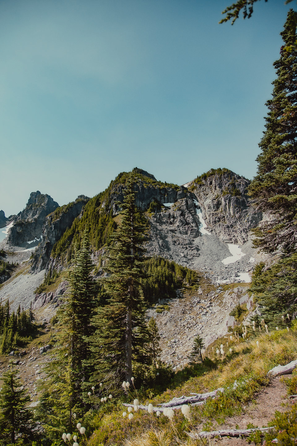 Mt. Ranier National Park, 2019