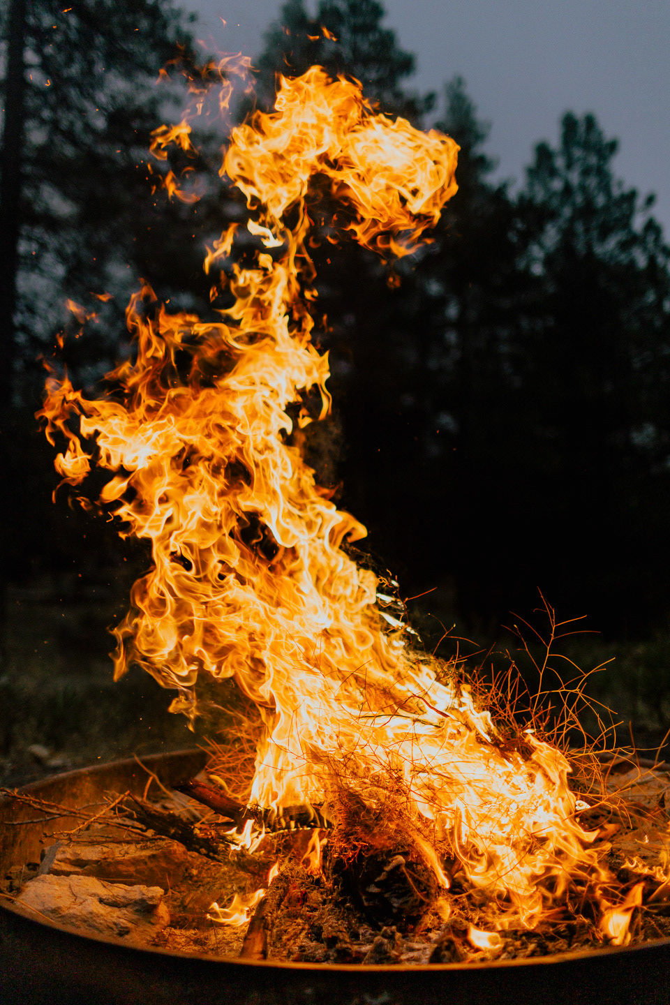 Angeles National Forest, 2019