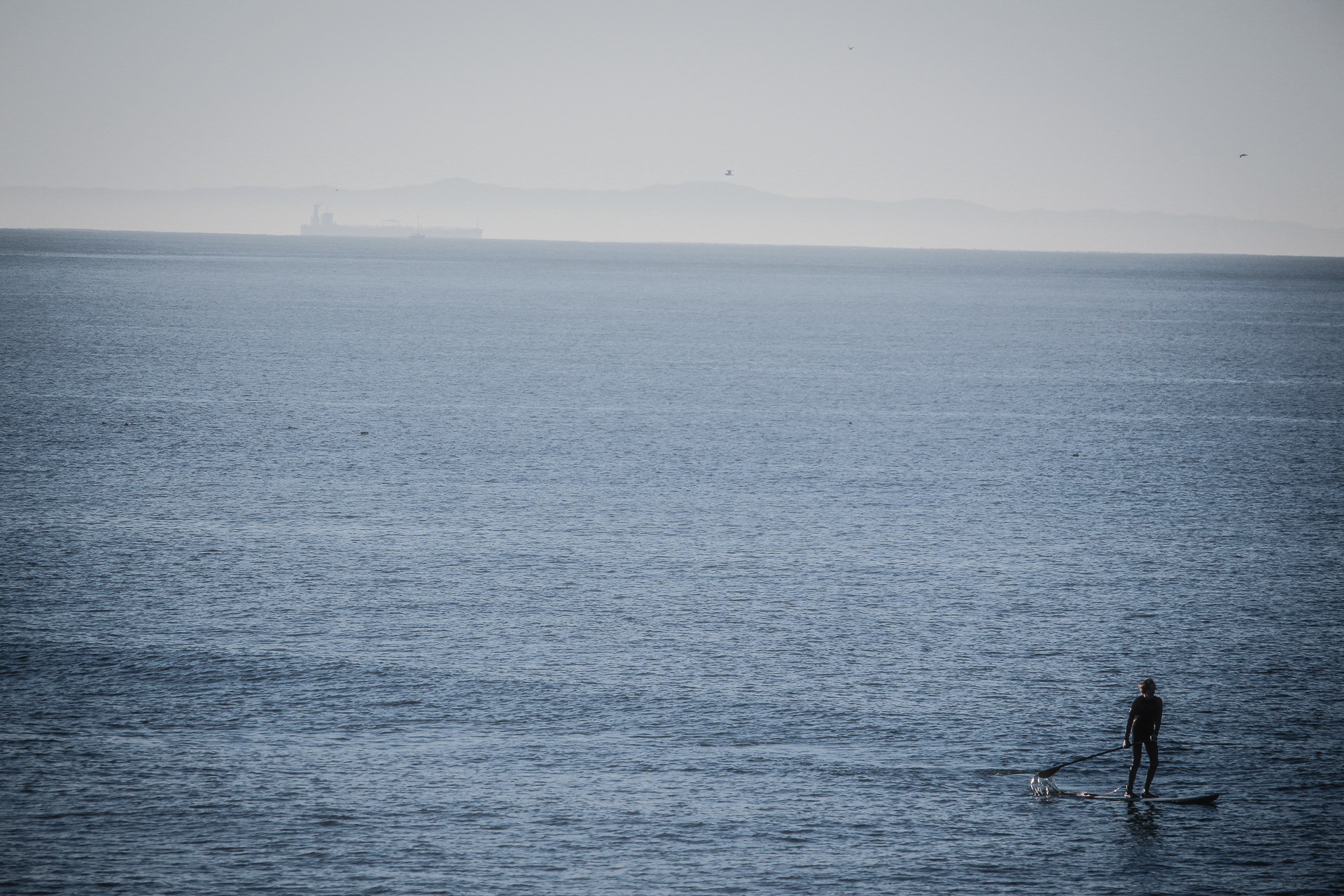 Santa Monica State Beach, 2017