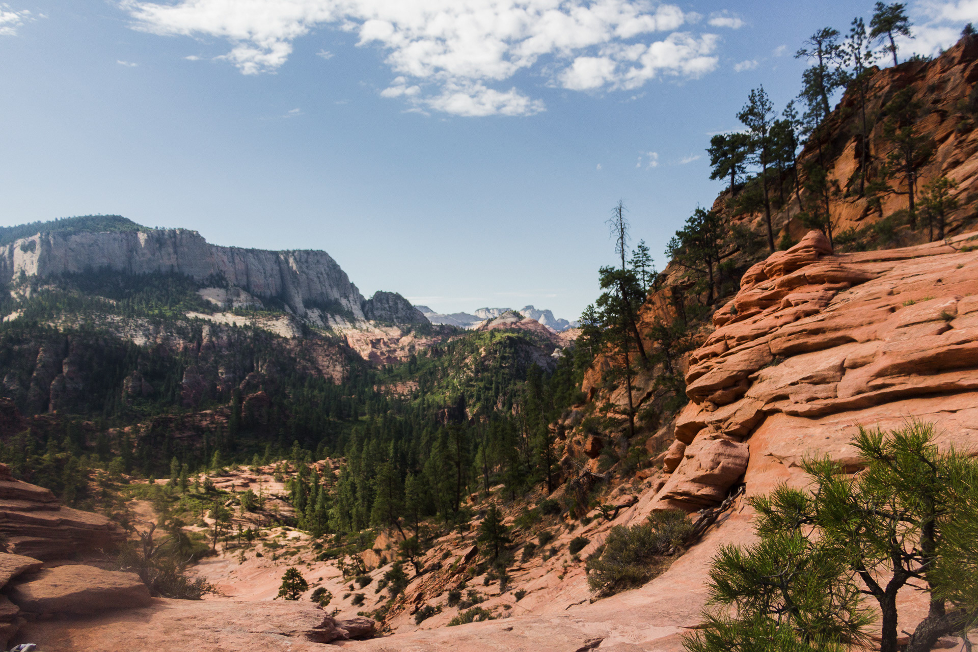 Zion National Park, 2018