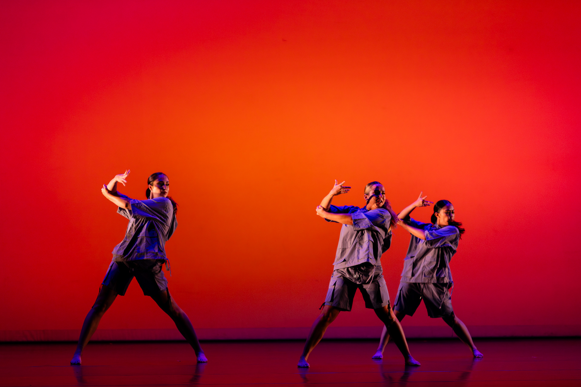 Icarus Contemporary, UCLA, 2024