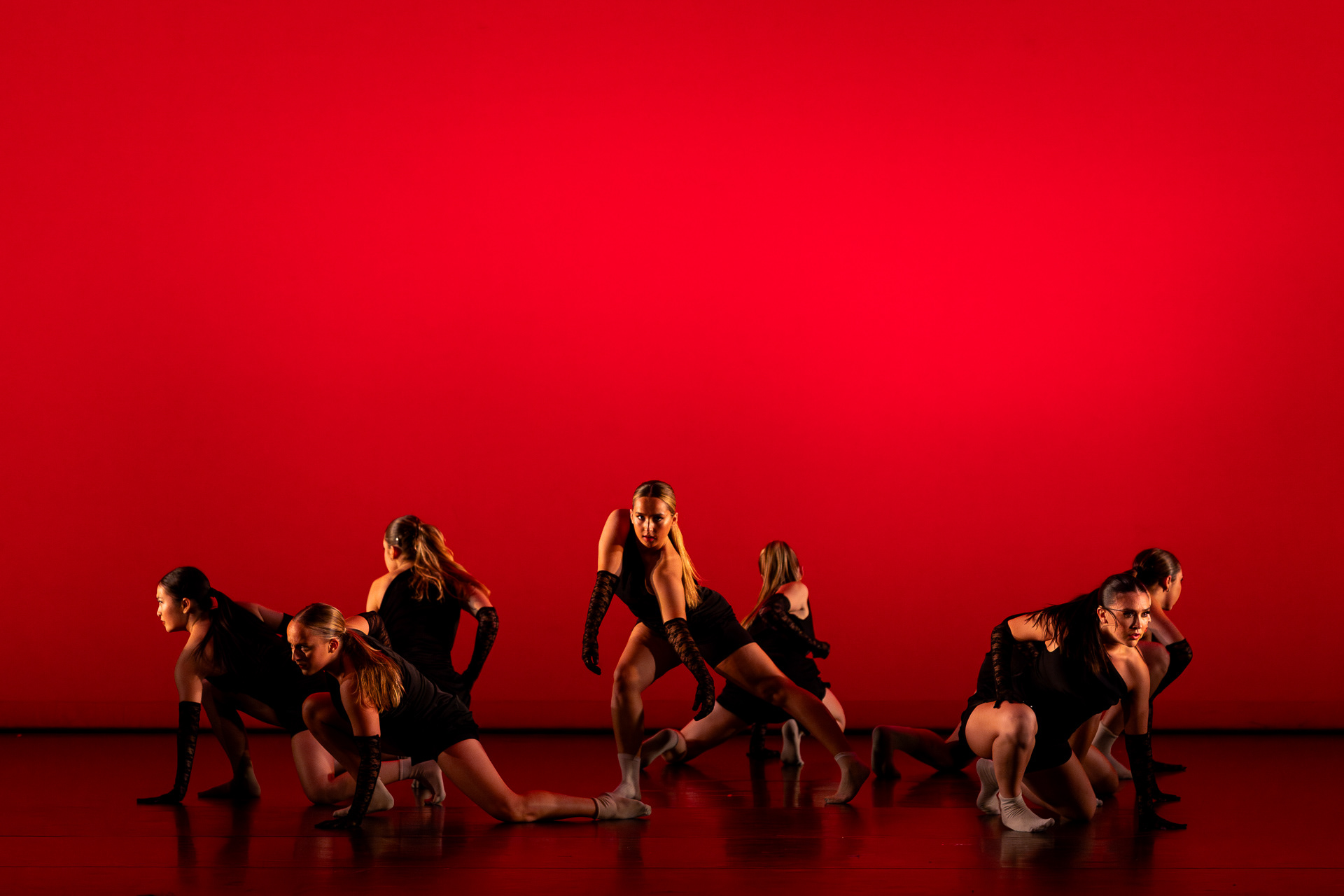 Icarus Contemporary, UCLA, 2024